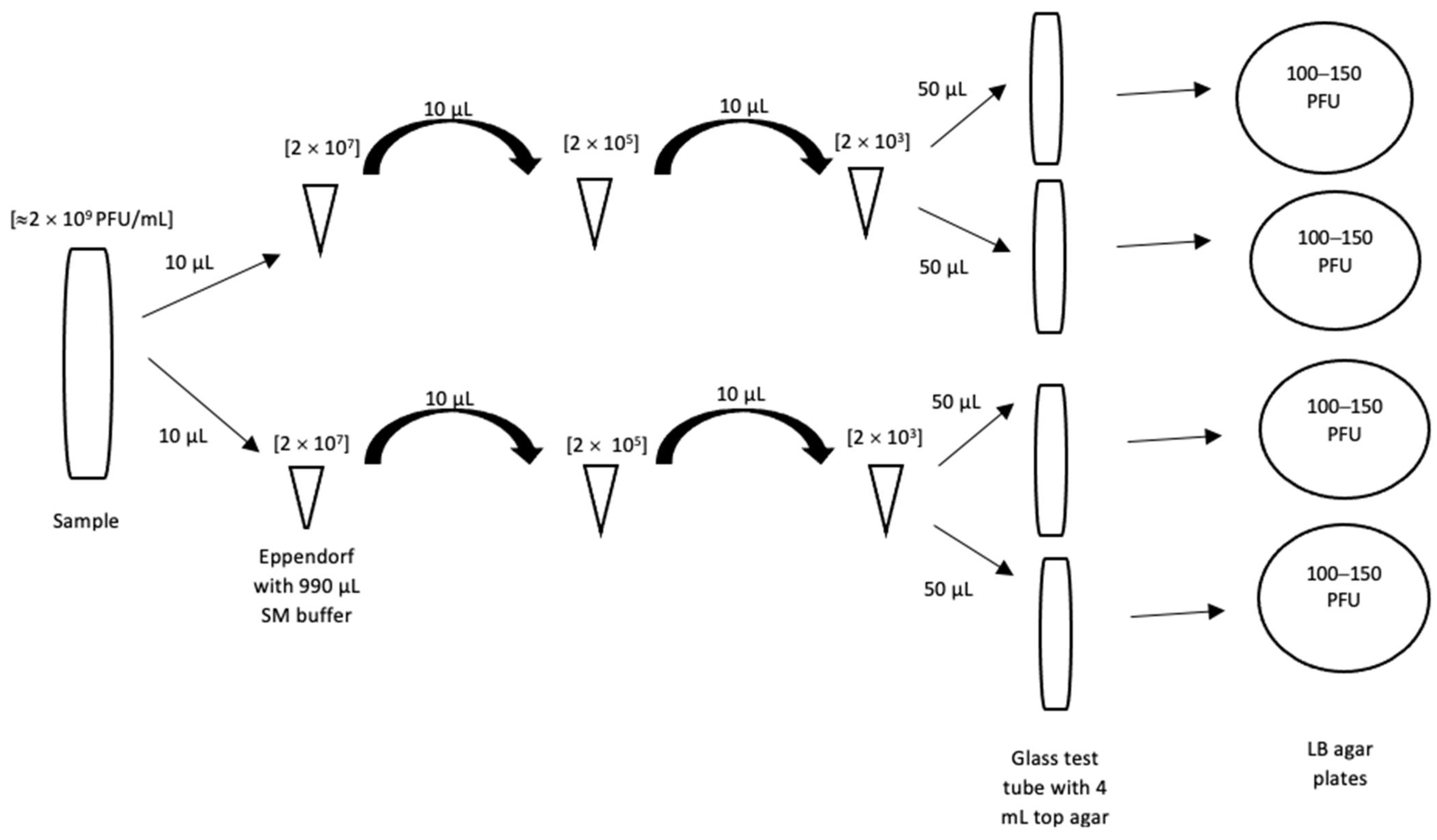 Processes 10 00673 g001