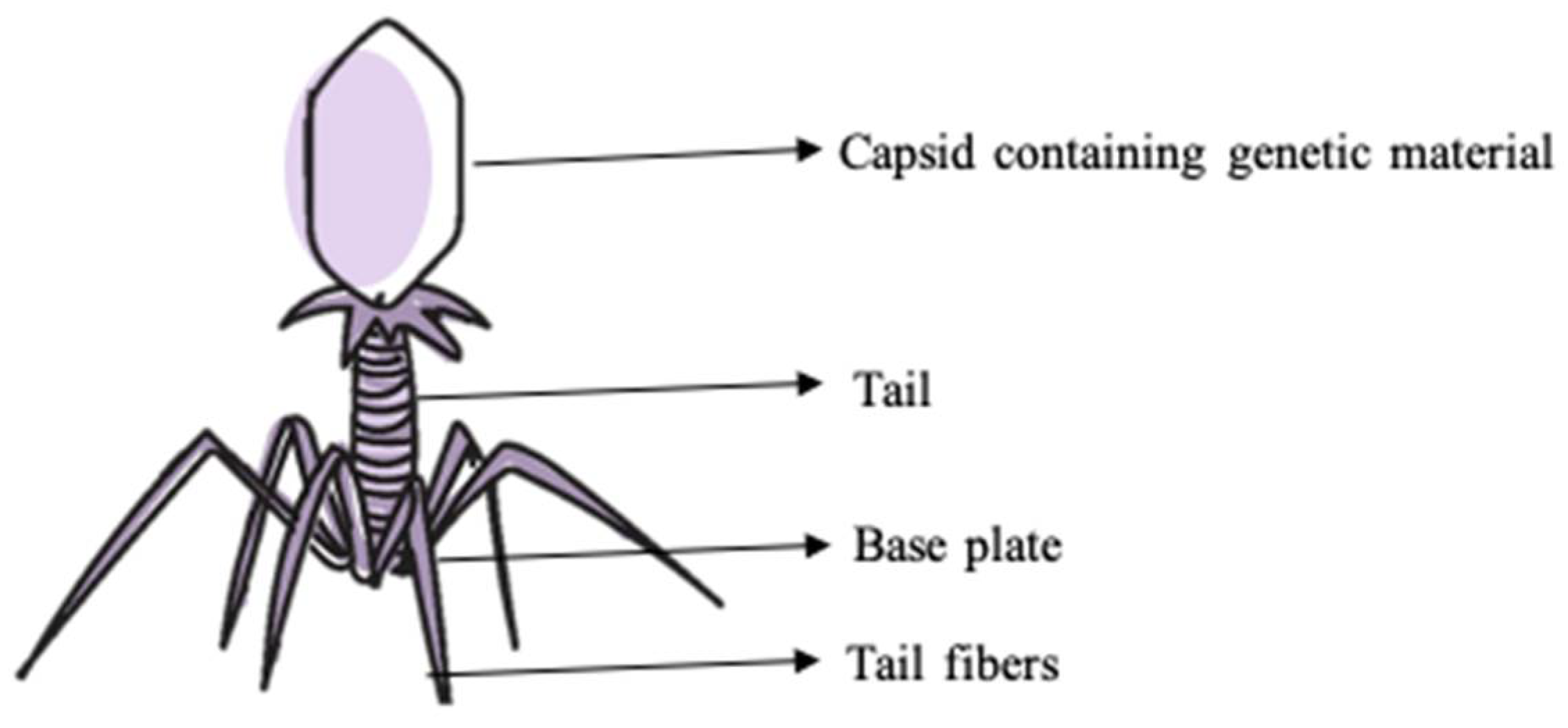 Processes 10 00673 g006