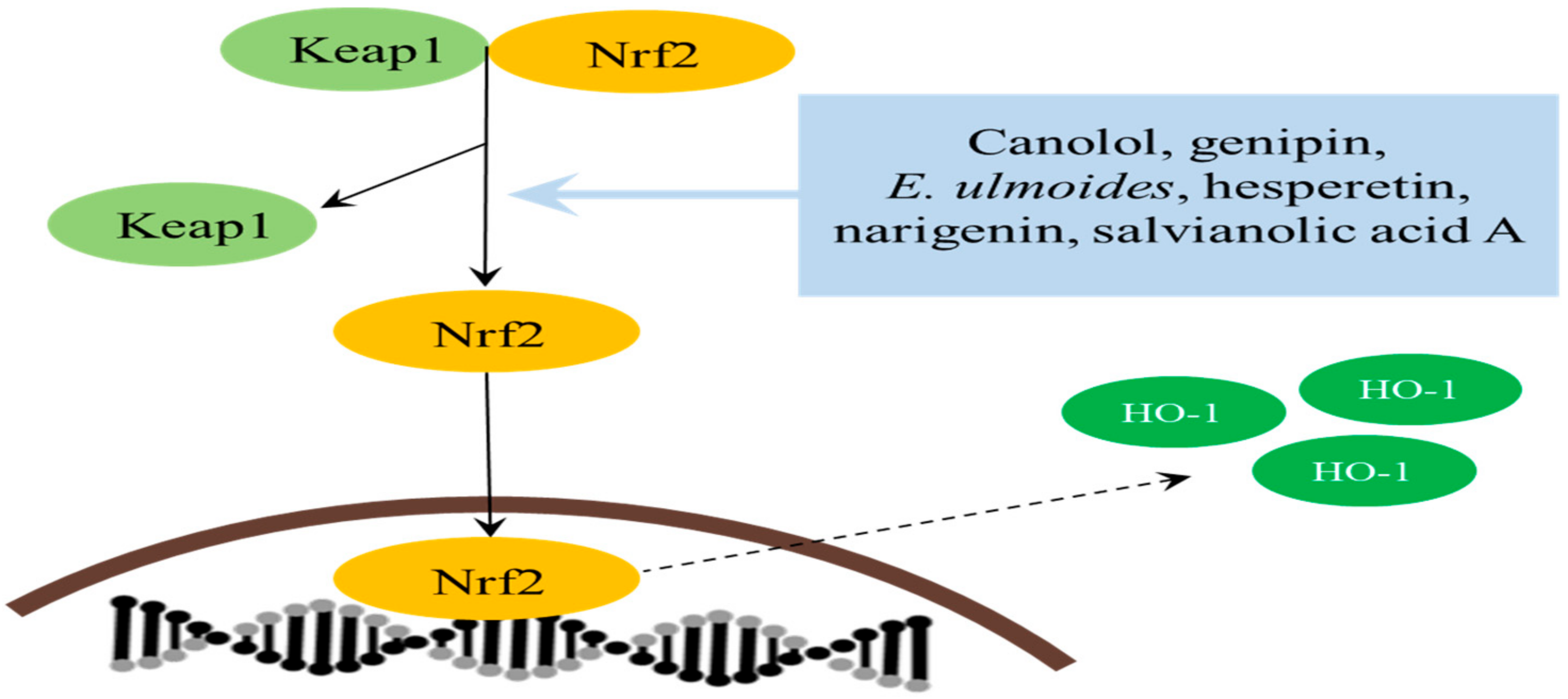 Processes 10 00678 g002 Processes 10 00678 g002