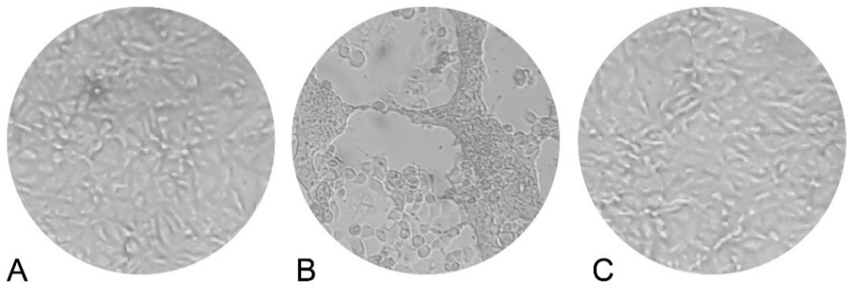 Processes 10 00680 g005