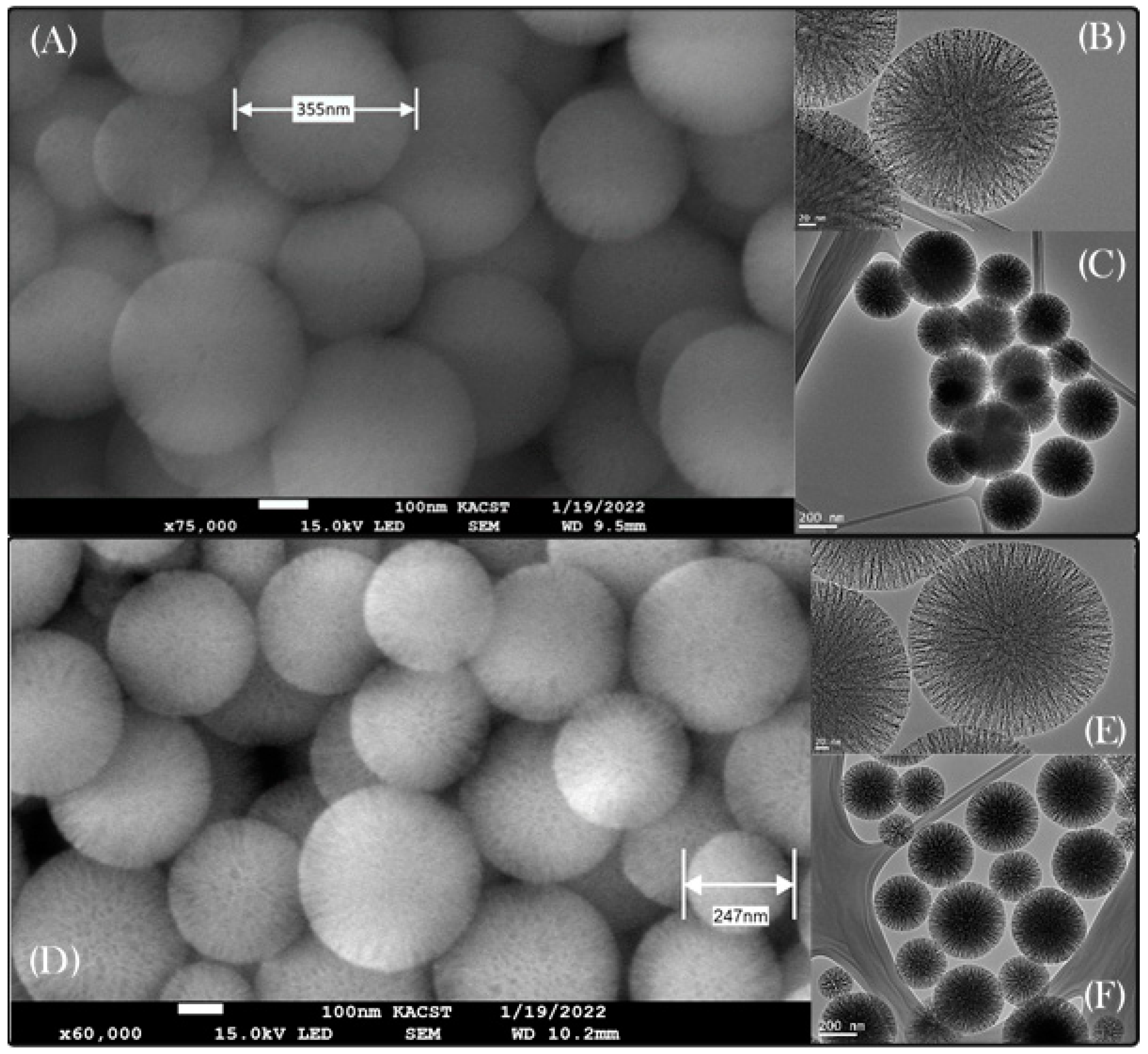 Processes 10 00705 g001