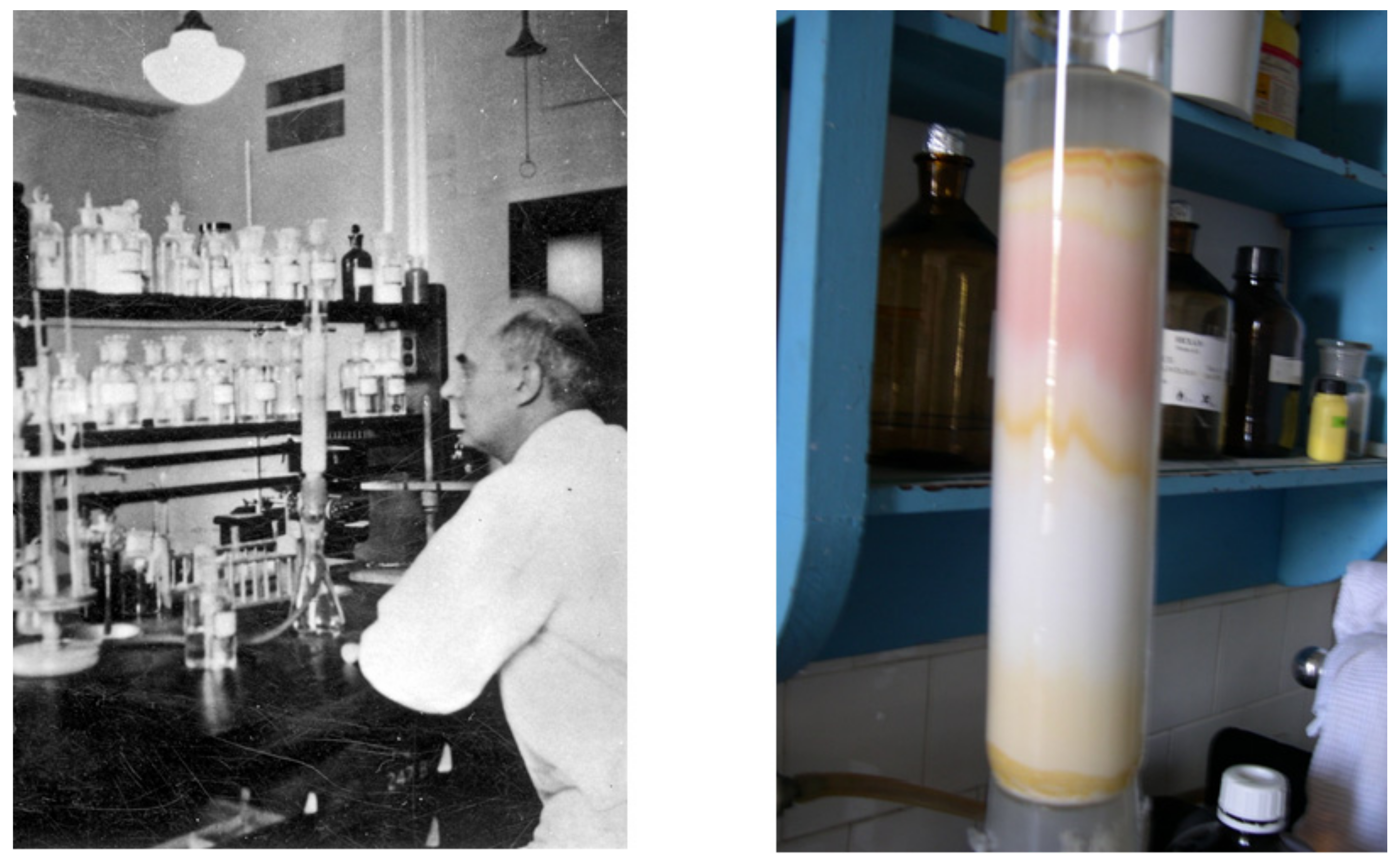 Processes 10 00707 g002 550