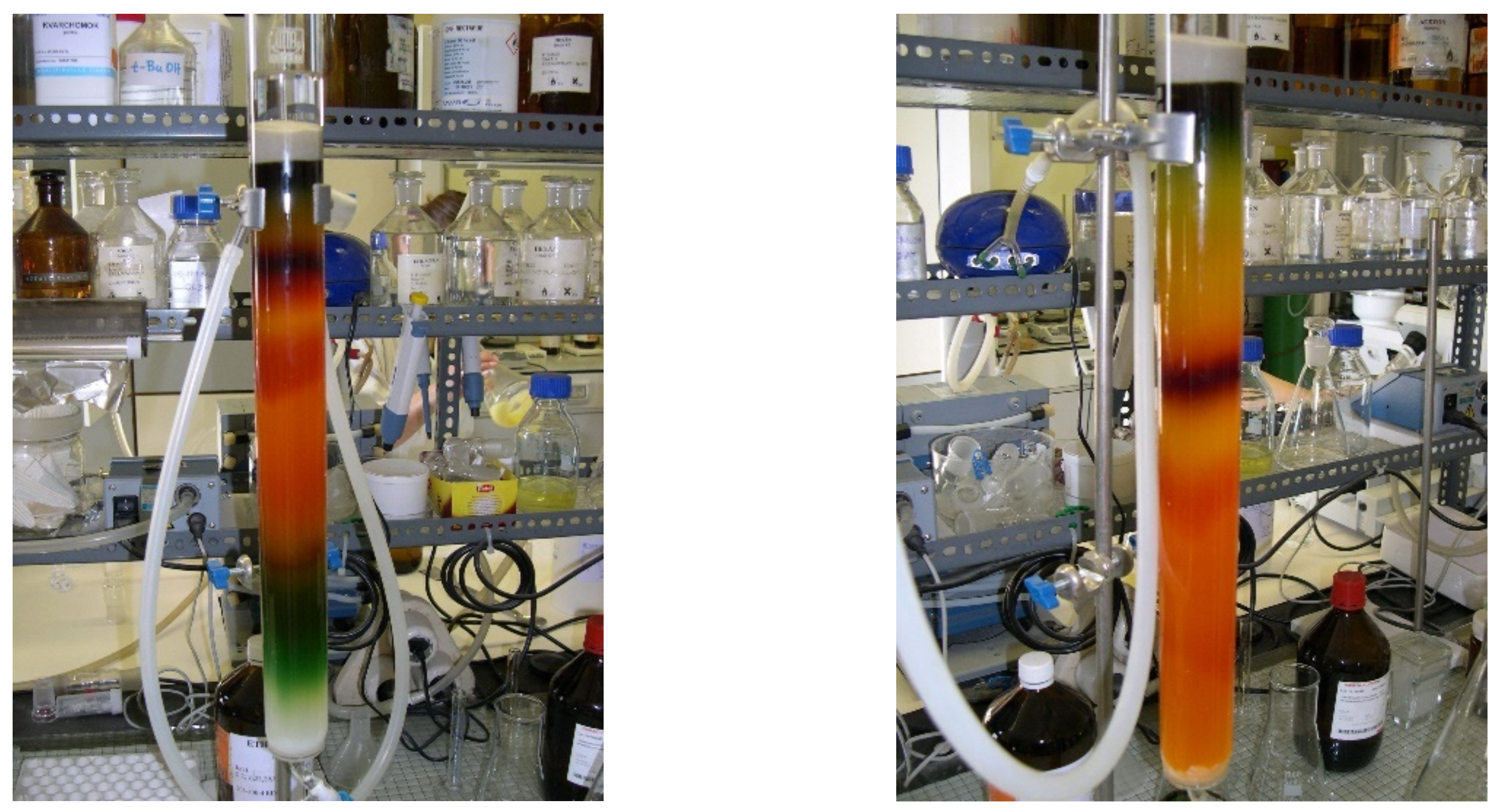 Processes 10 00707 g003 550