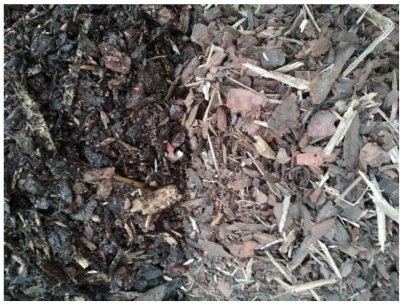 Processes 10 00739 g001 550