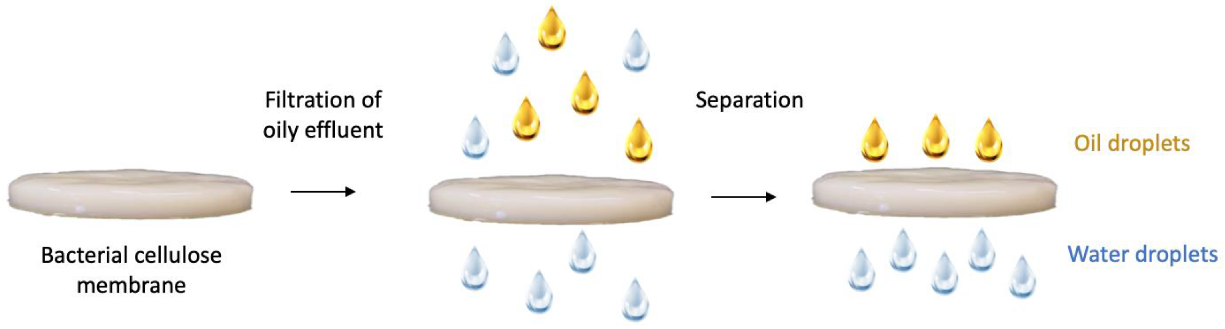 Processes 10 00743 g007