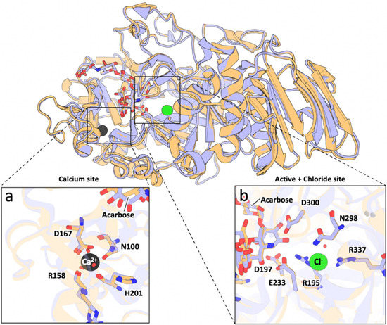 Evaluation of Porcine and Aspergillus oryzae α-Amylases as Possible ...