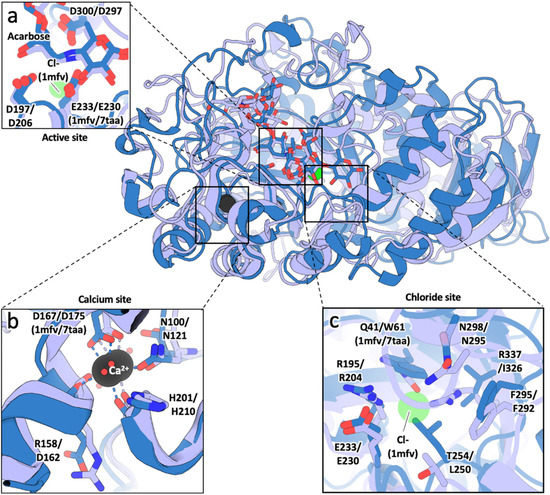 Evaluation of Porcine and Aspergillus oryzae α-Amylases as Possible ...