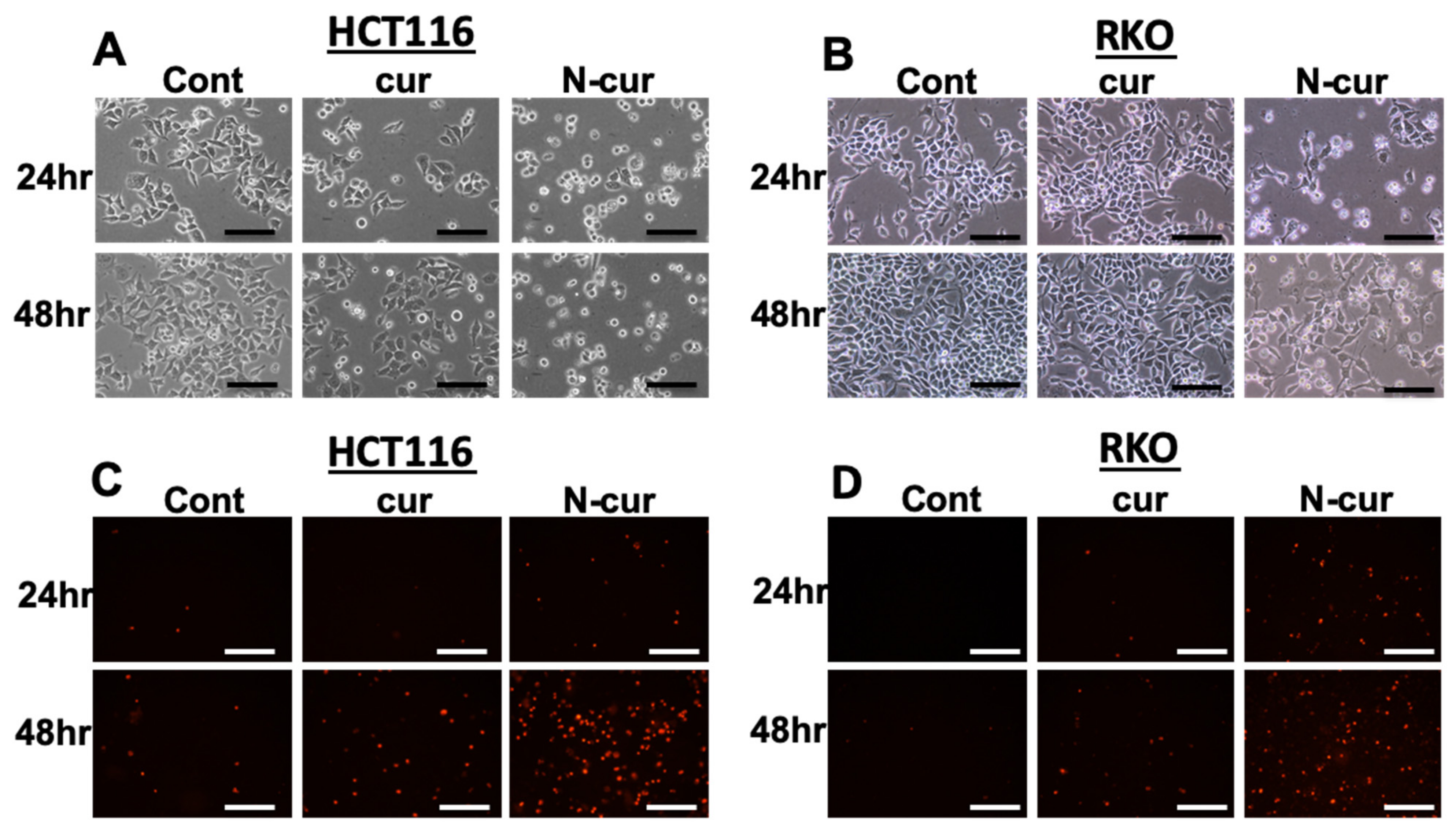 Processes 10 00800 g001
