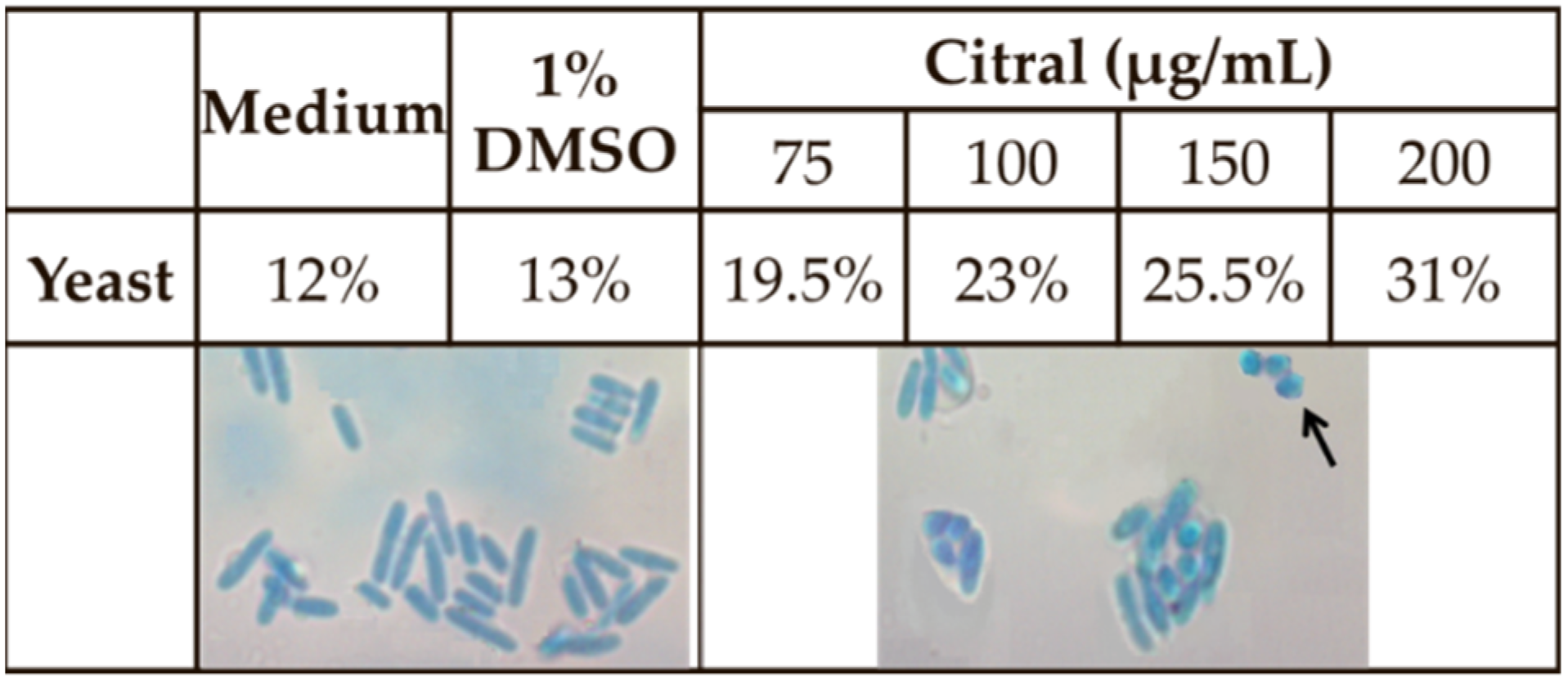 Processes 10 00802 g002 Processes 10 00802 g002