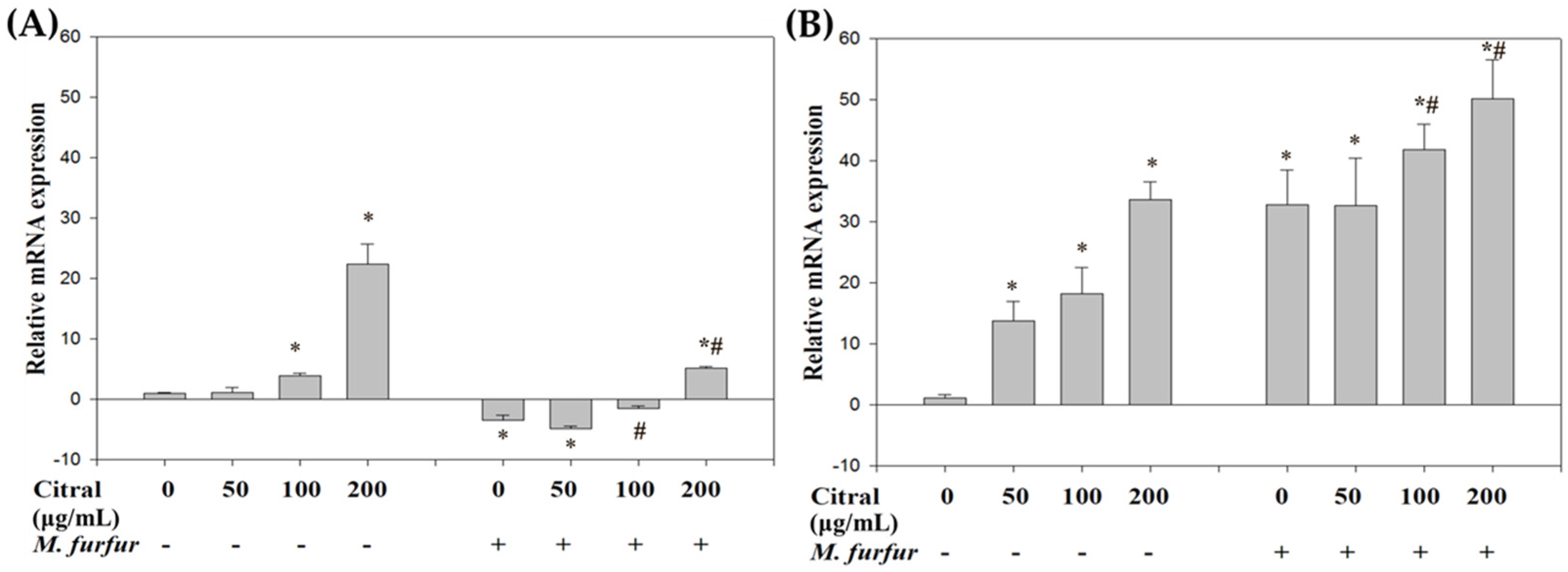 Processes 10 00802 g010 Processes 10 00802 g010