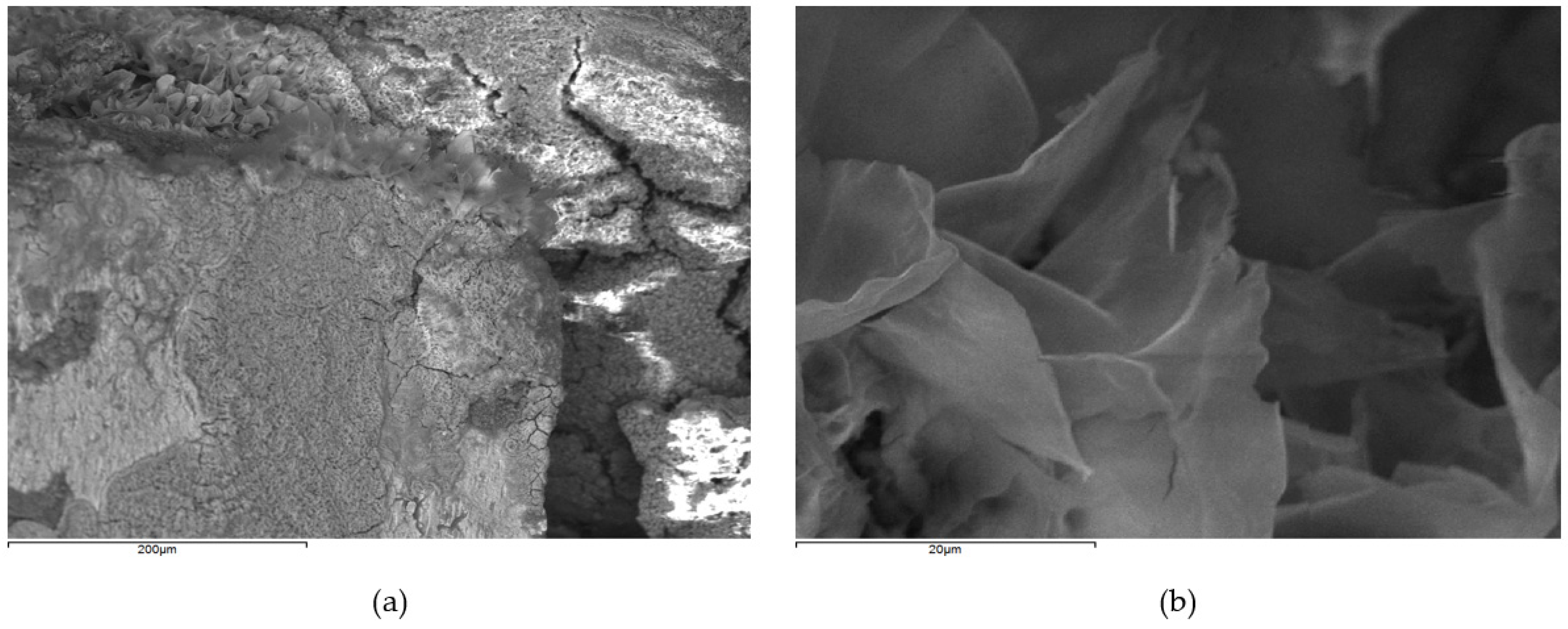 Processes 10 00830 g007 550