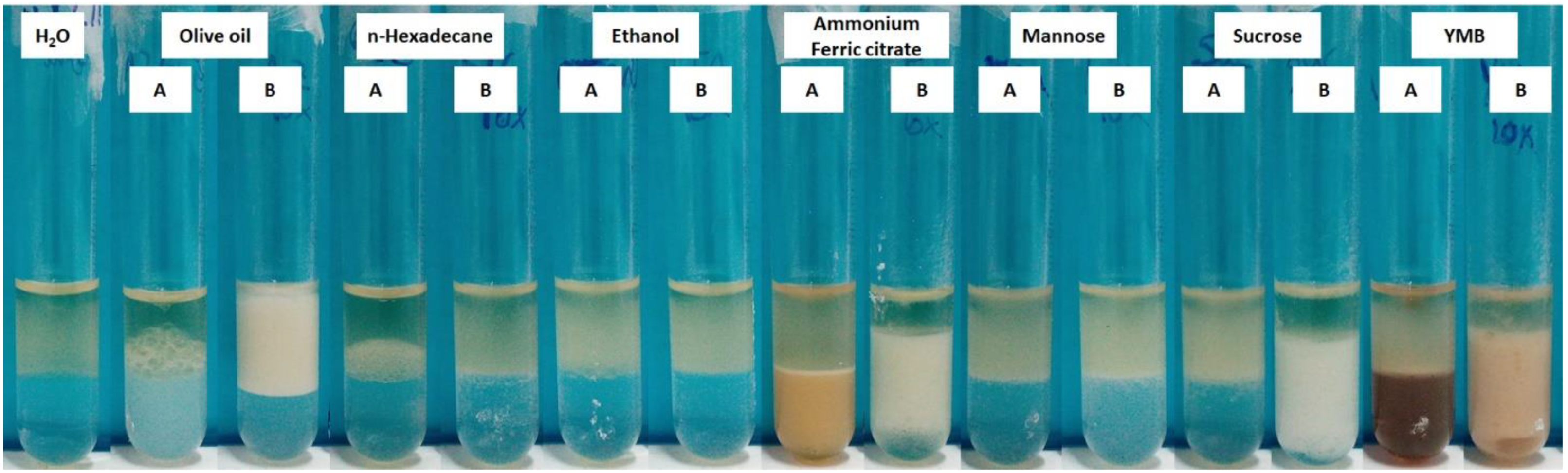 Processes 10 00845 g002