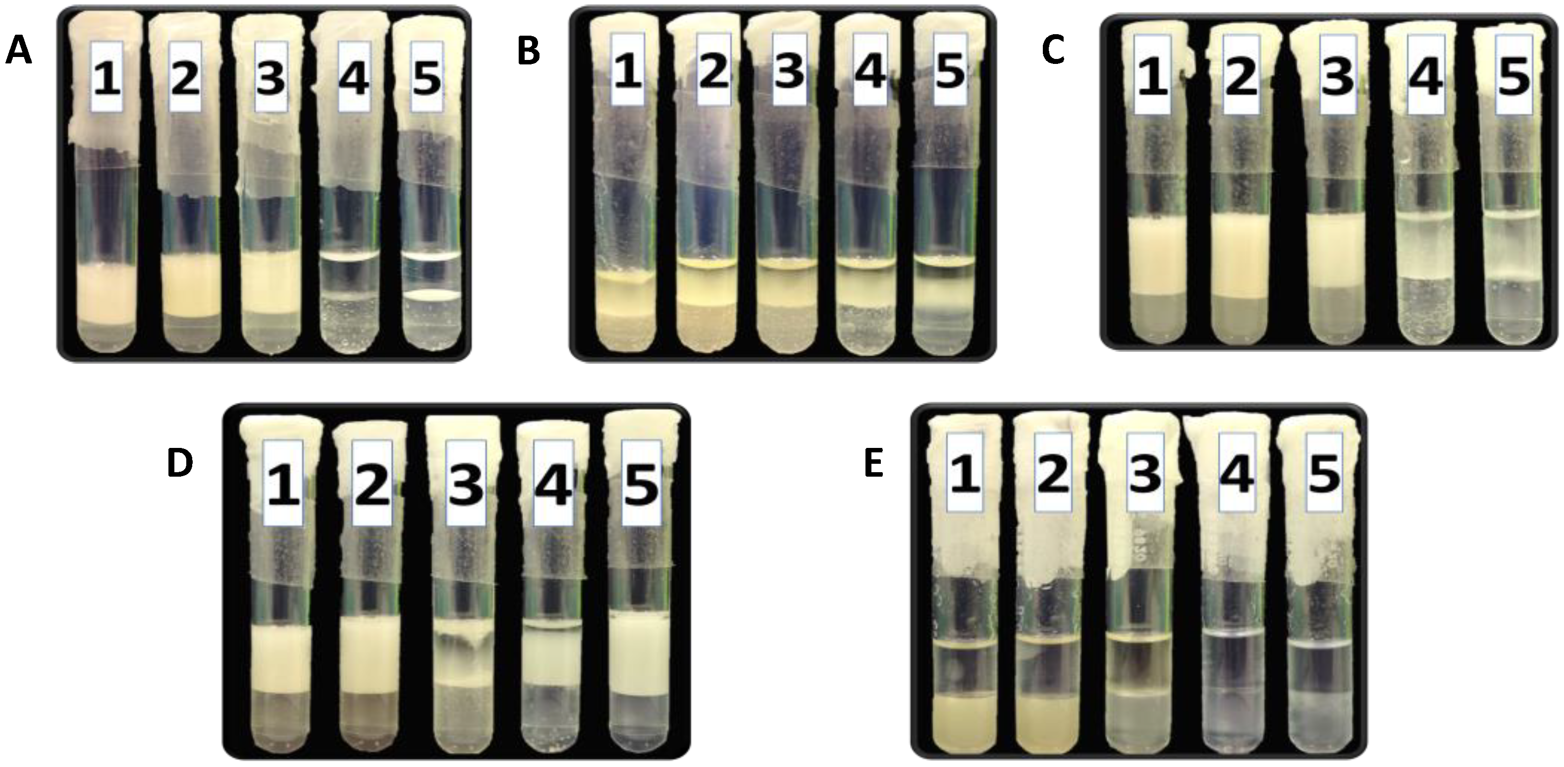 Processes 10 00845 g003