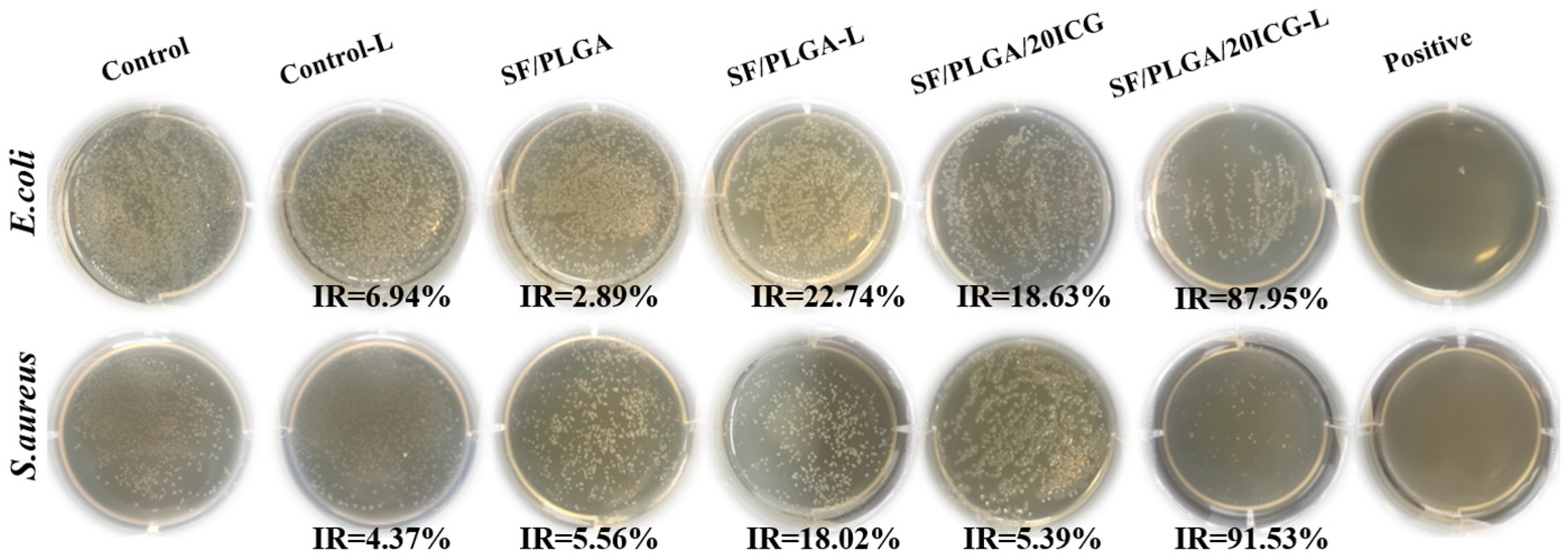 Processes 10 00850 g005 550