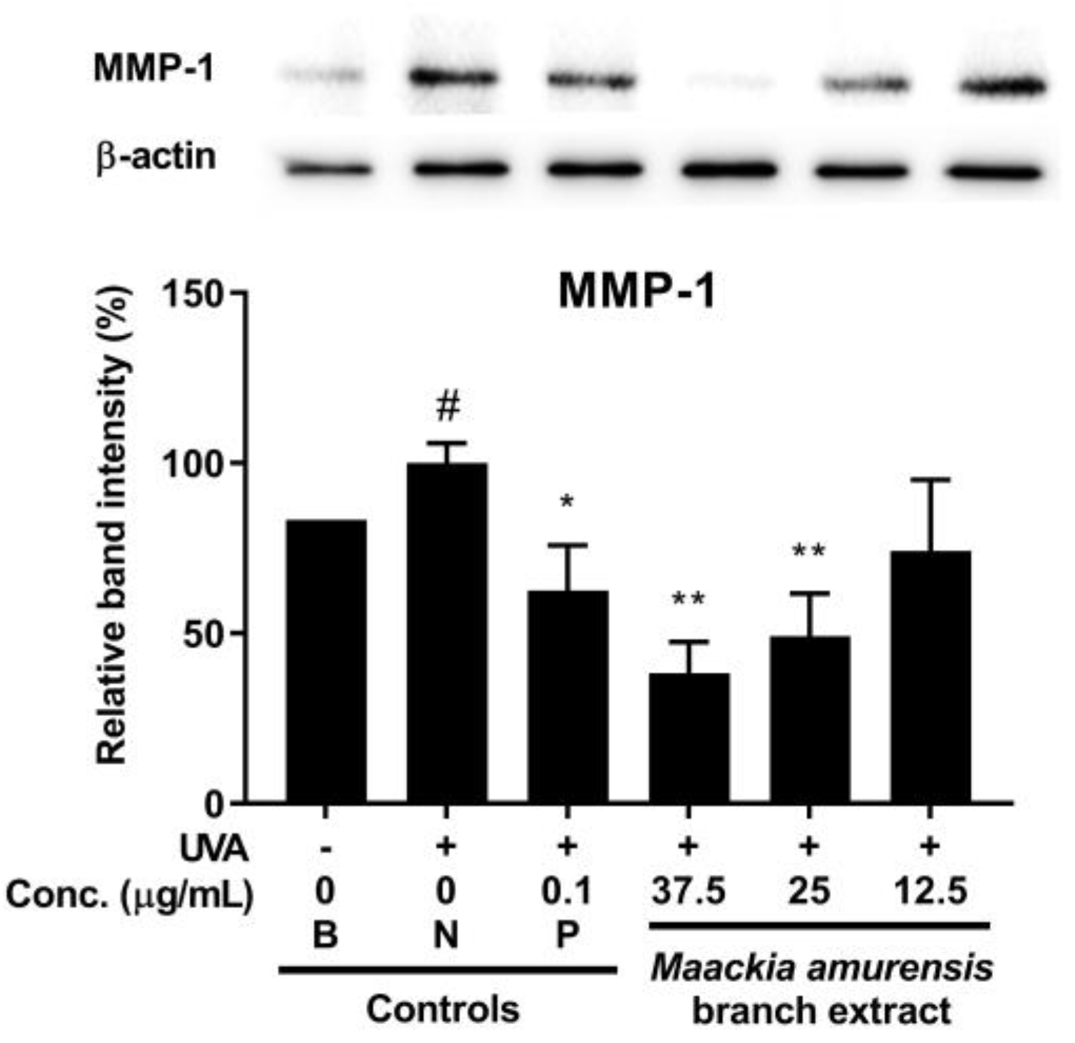 Processes 10 00855 g006 Processes 10 00855 g006
