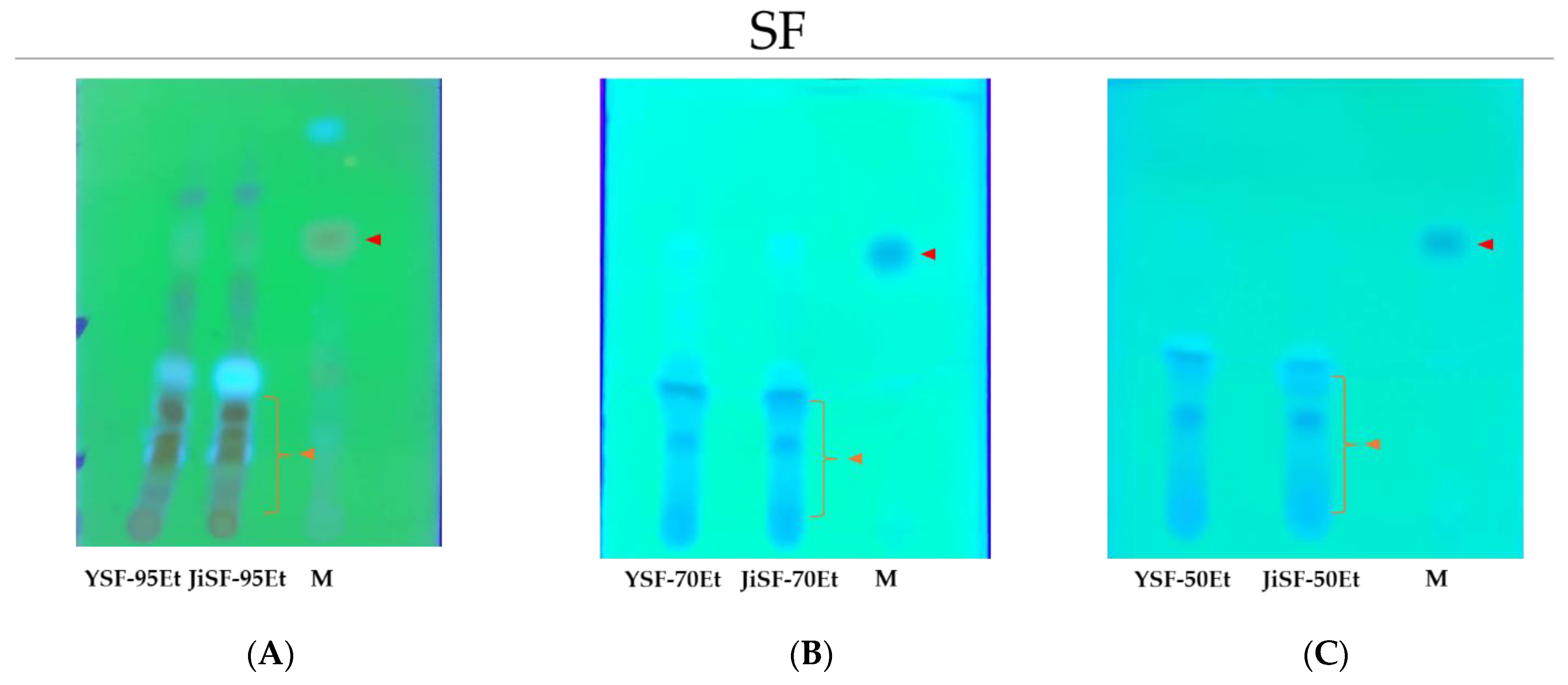 Processes 10 00880 g001a