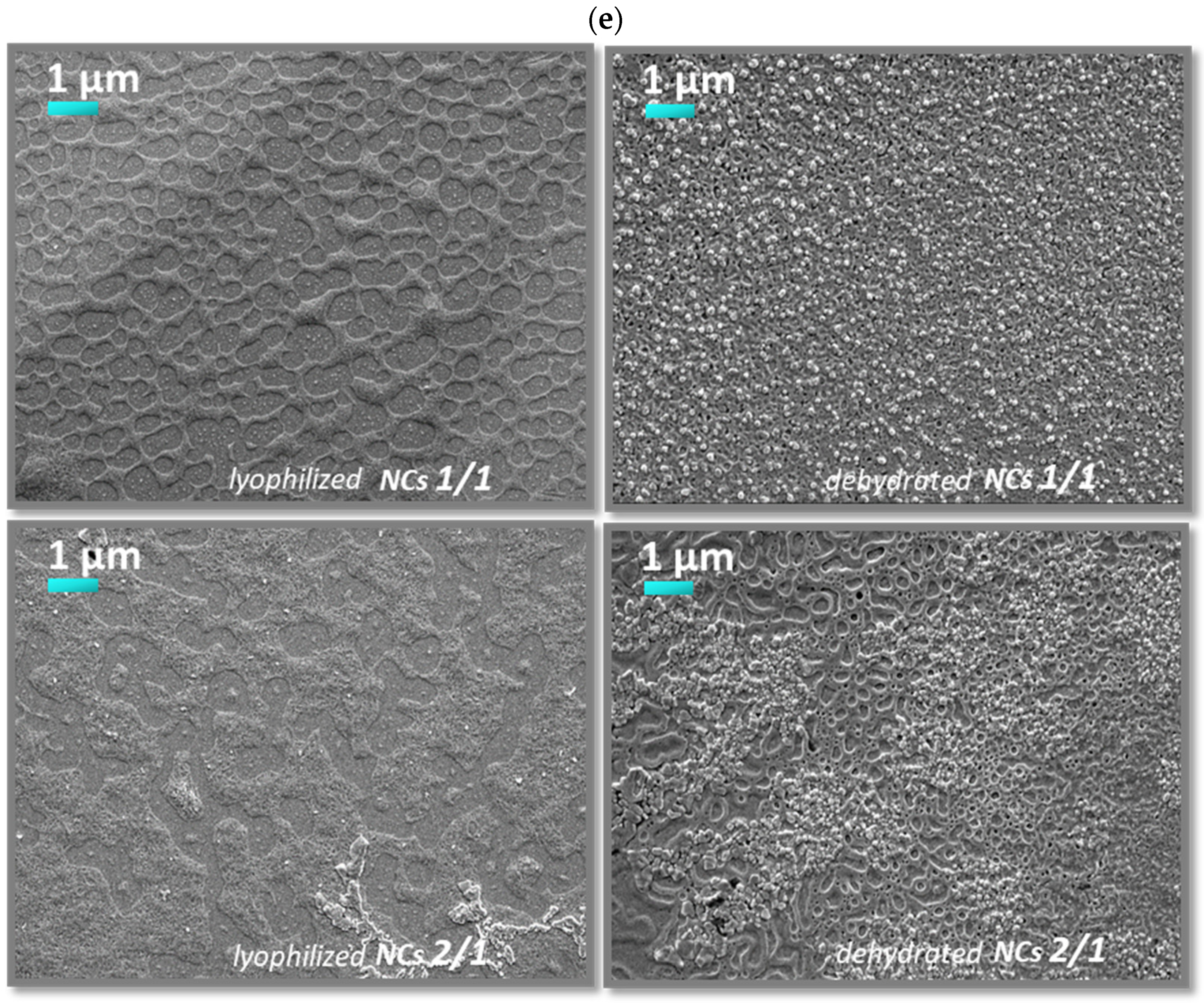 Processes 10 00882 g005c 550