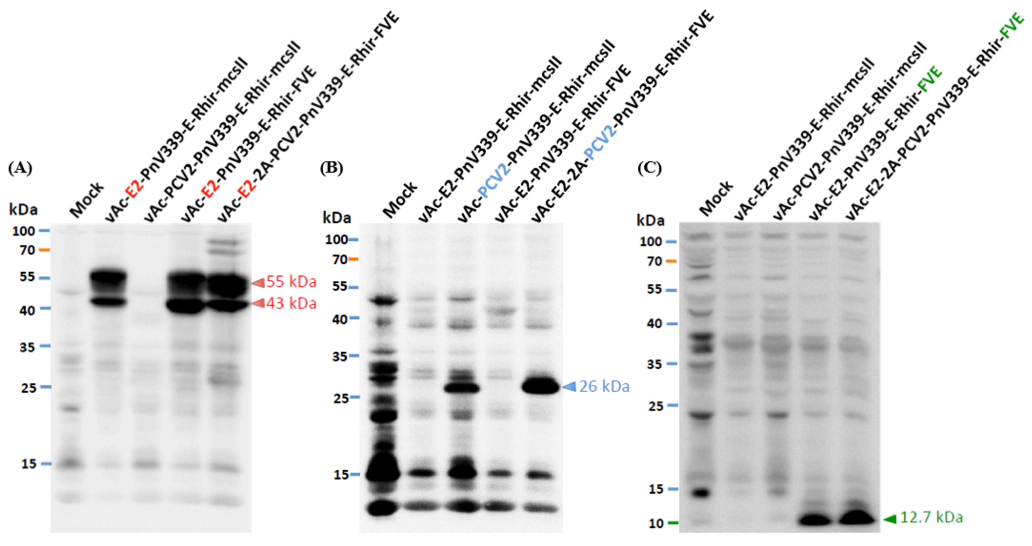 Processes 10 00895 g003 Processes 10 00895 g003