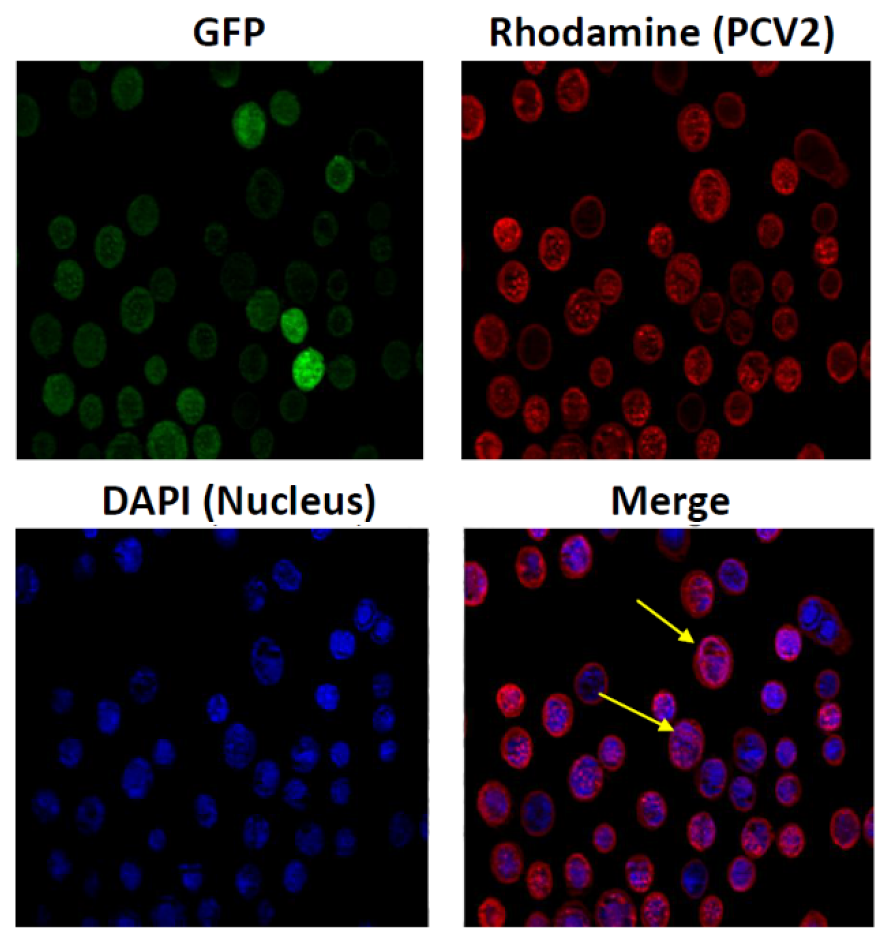 Processes 10 00895 g004 Processes 10 00895 g004