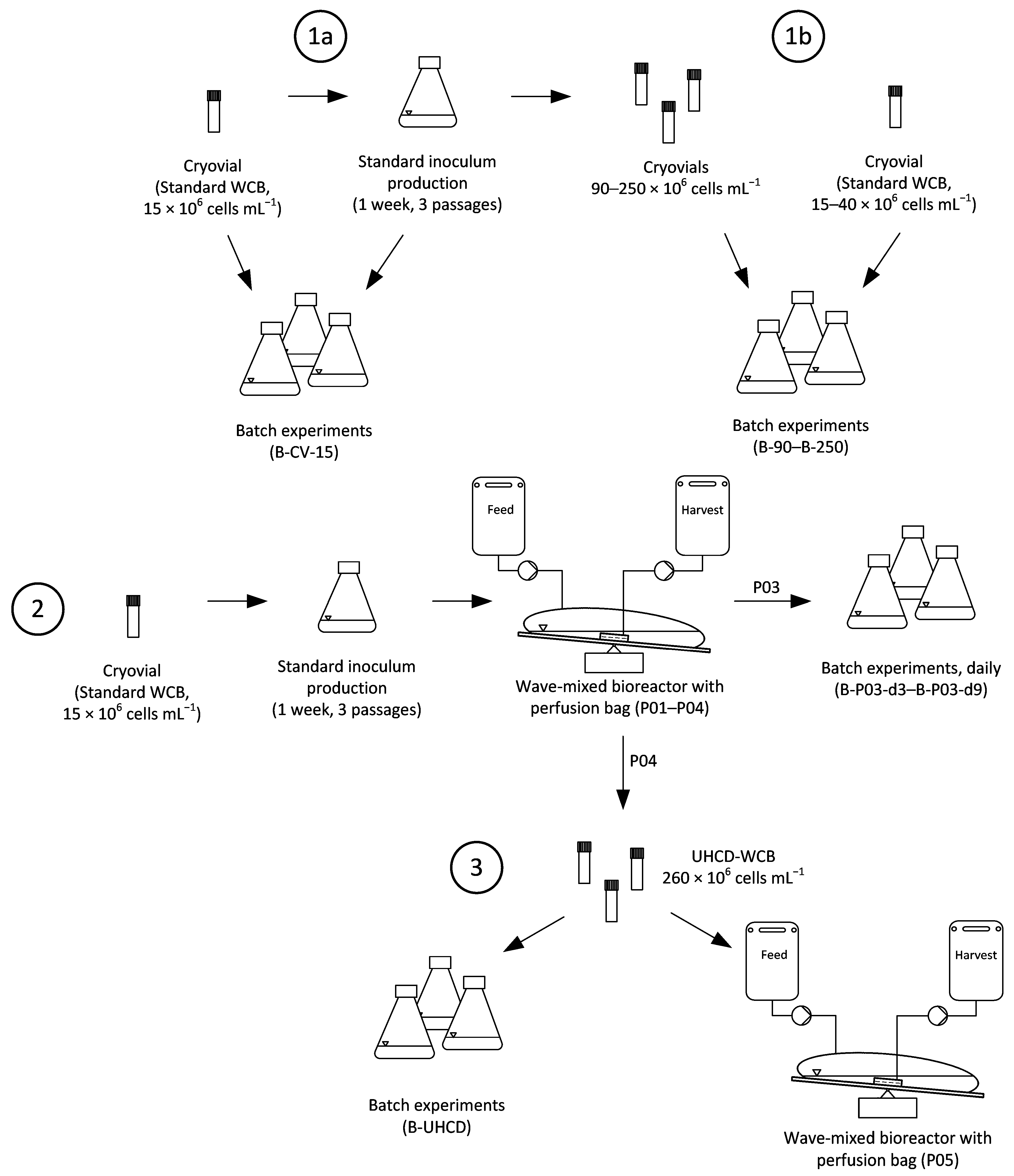 Processes 10 00911 g001 550