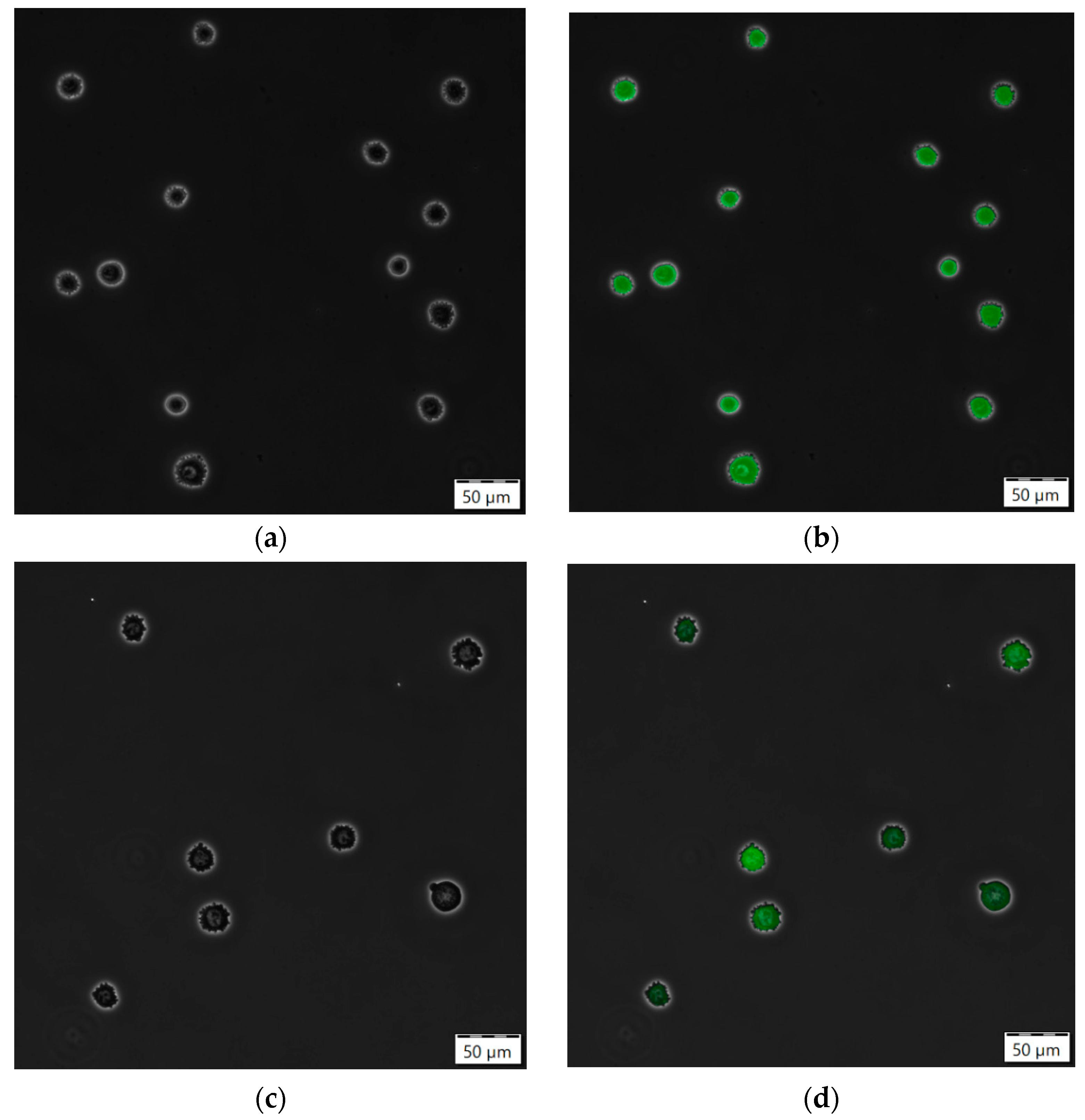 Processes 10 00911 g0a5a 550