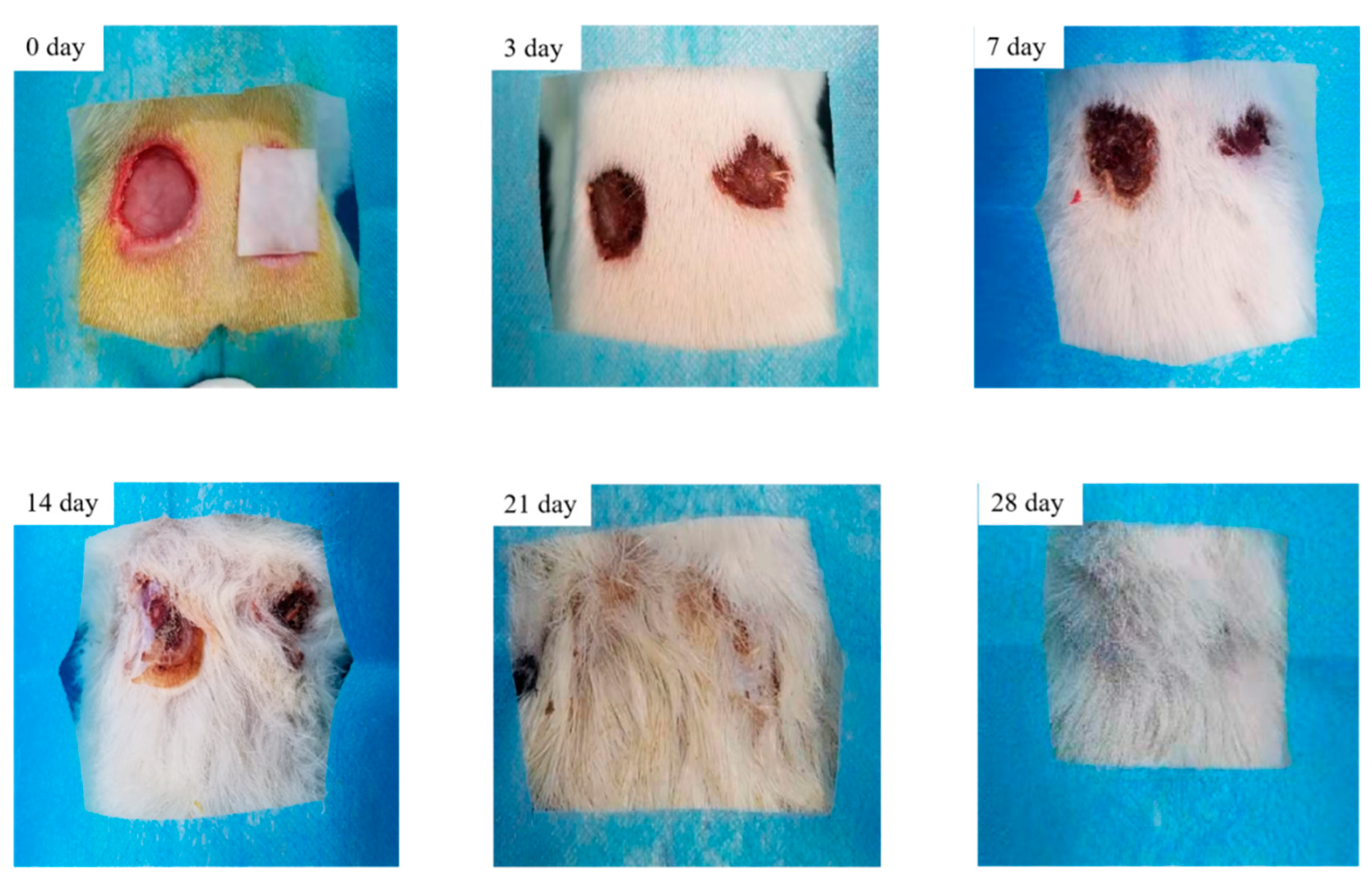 Processes 10 00916 g014