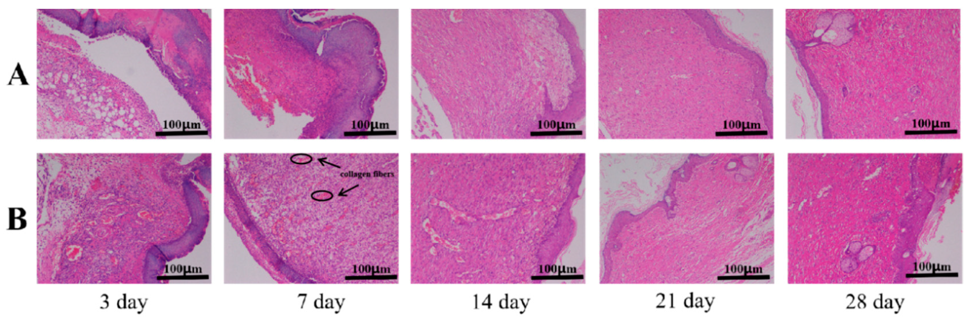 Processes 10 00916 g015