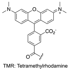 Processes 10 00924 i036 Processes 10 00924 i036