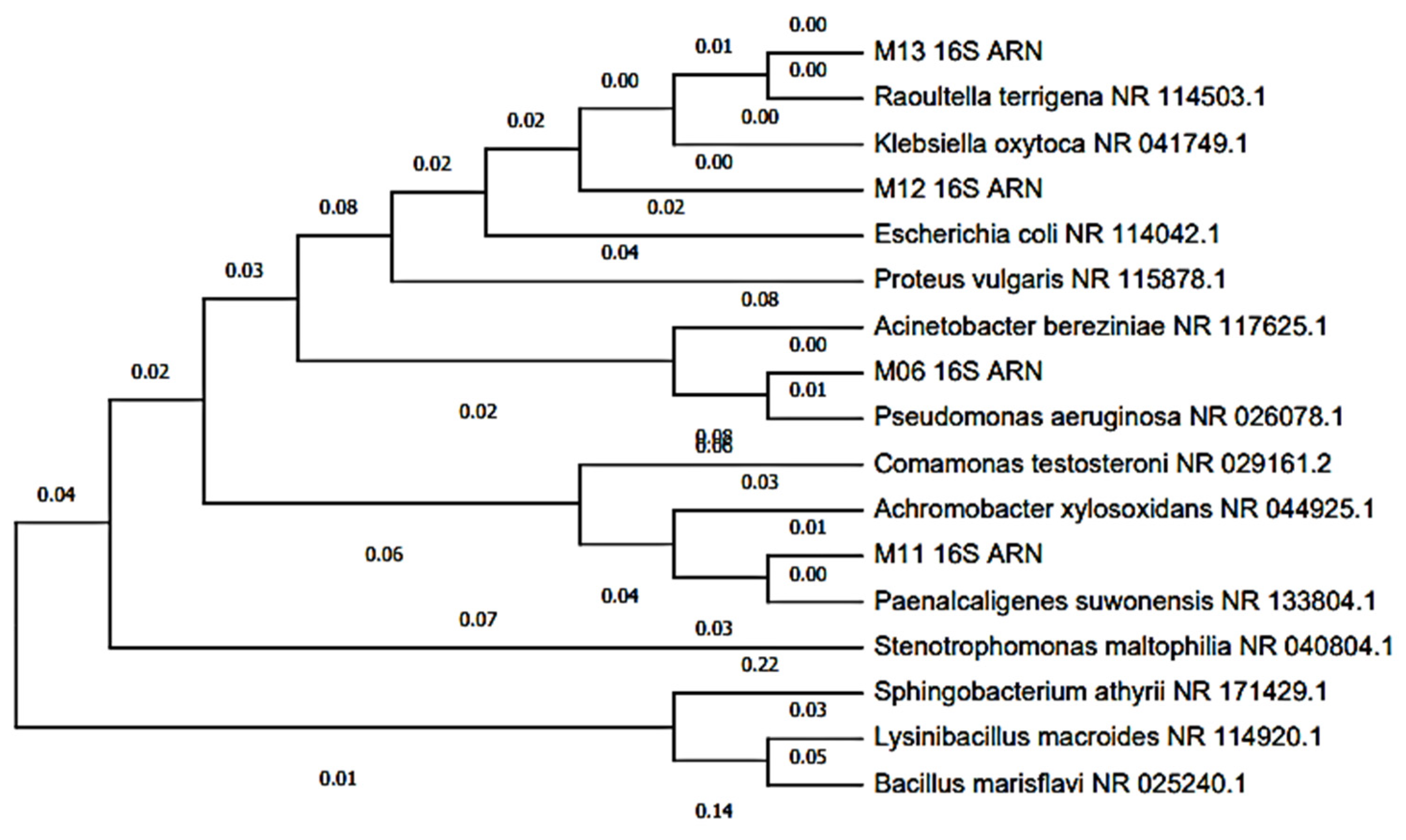 Processes 10 00942 g006 Processes 10 00942 g006