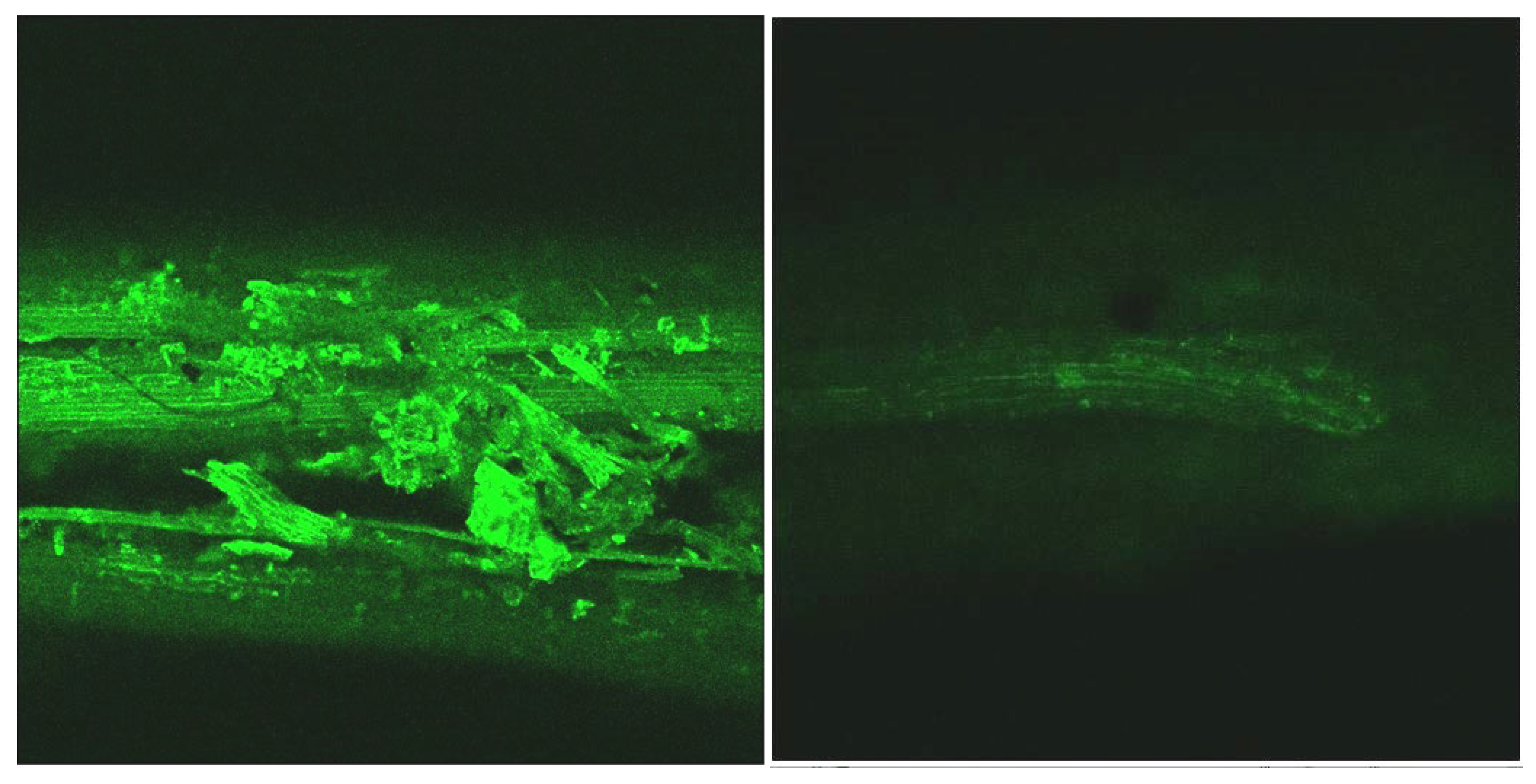 Processes 10 00943 g005 550