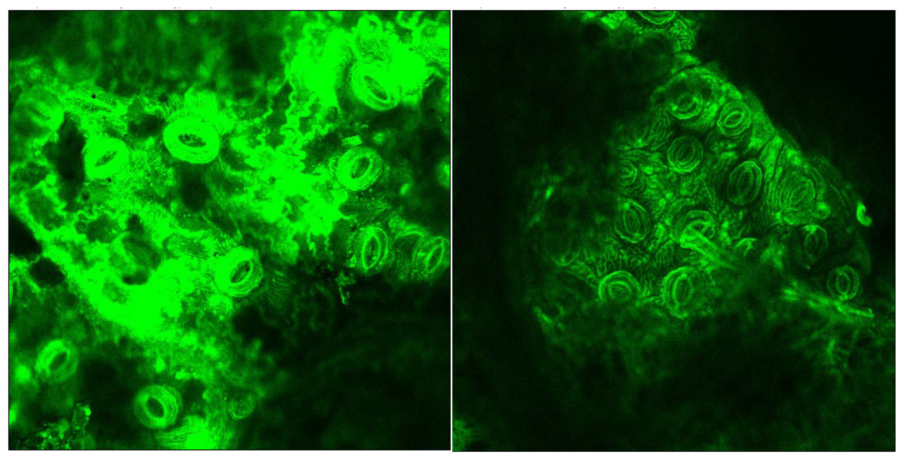 Processes 10 00943 g006 550