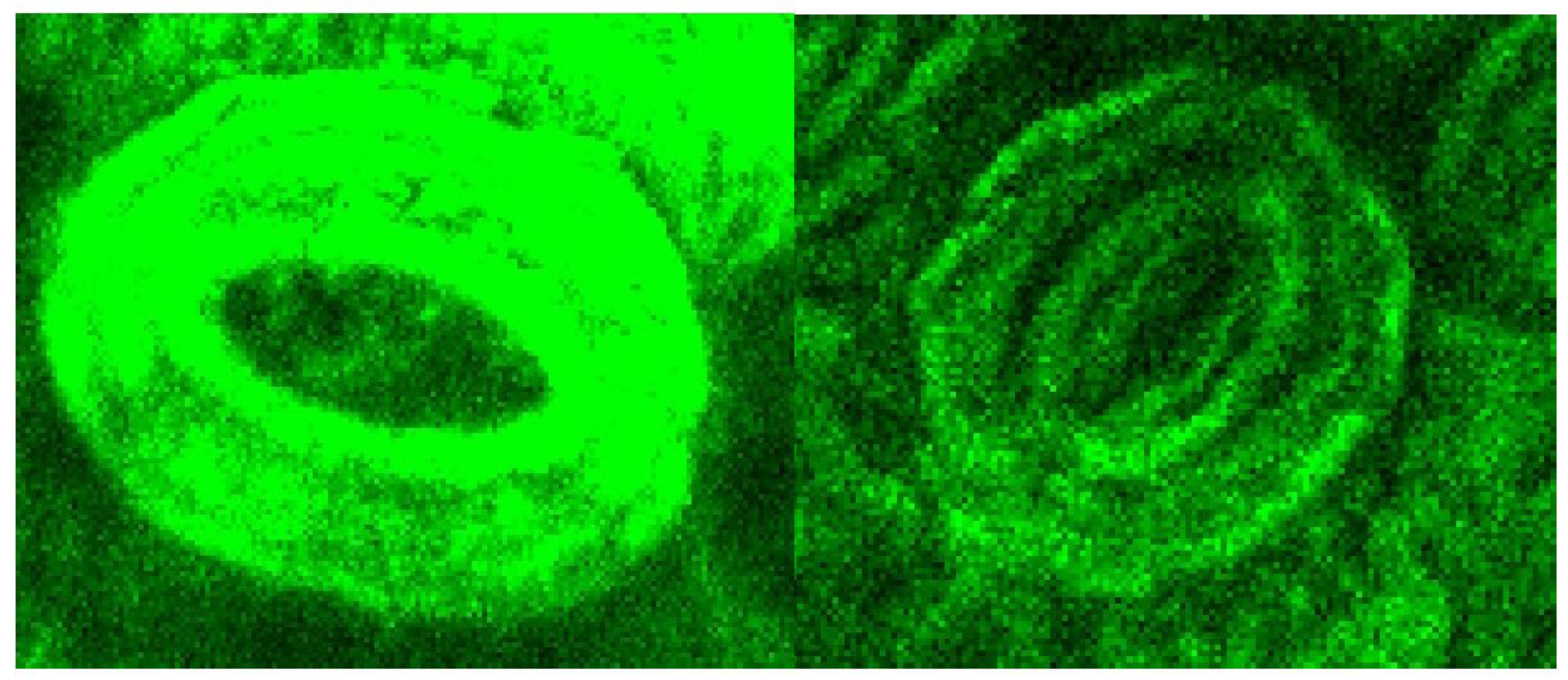 Processes 10 00943 g007 550