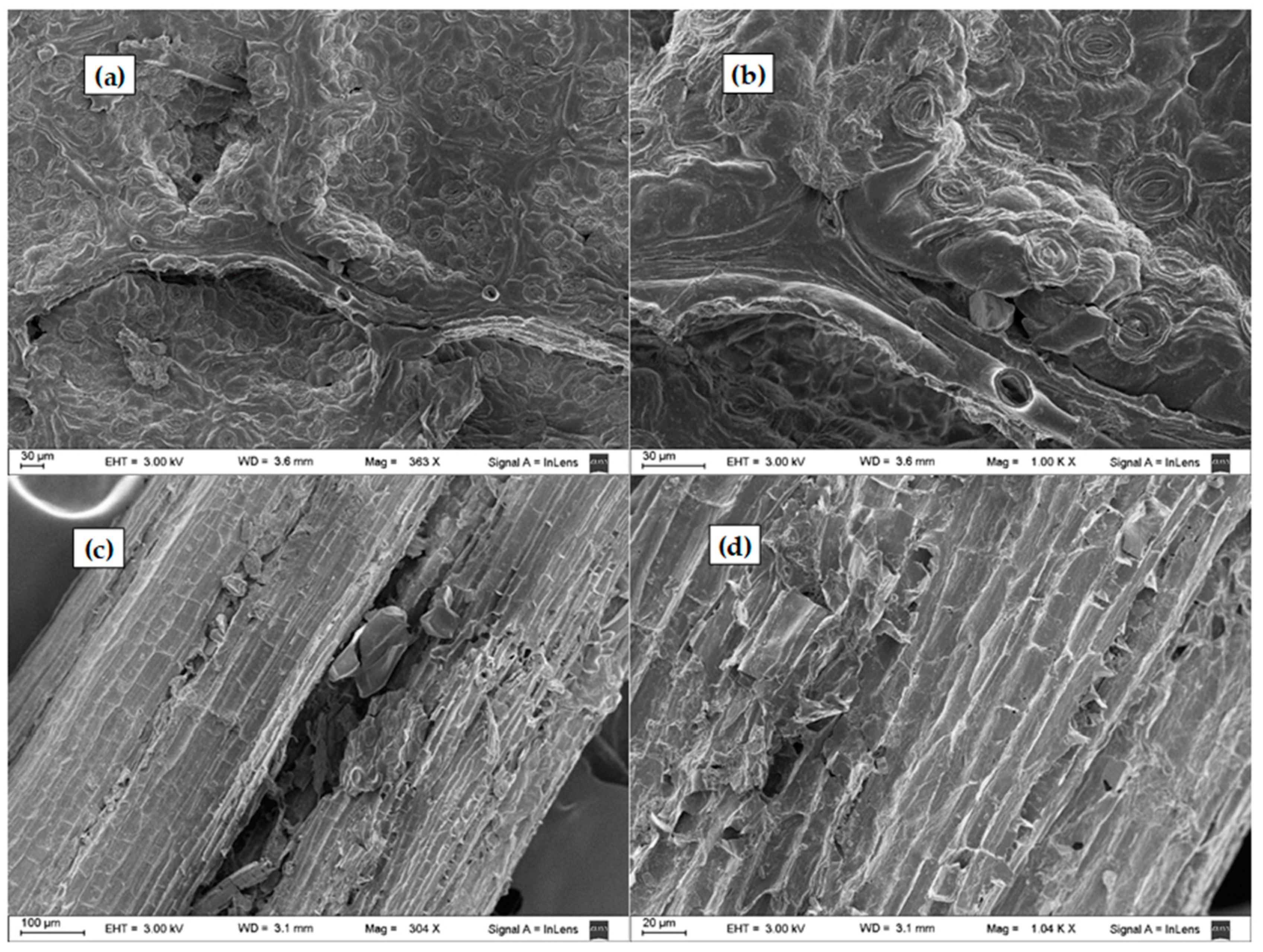 Processes 10 00943 g008 550