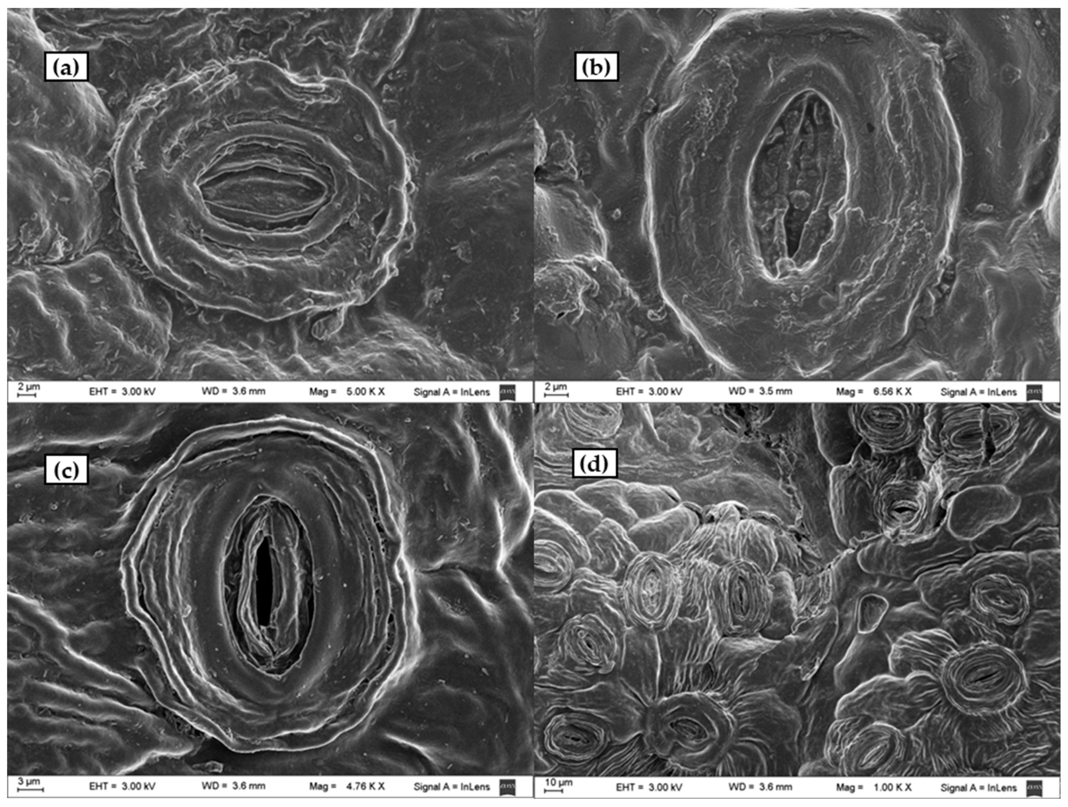 Processes 10 00943 g009 550