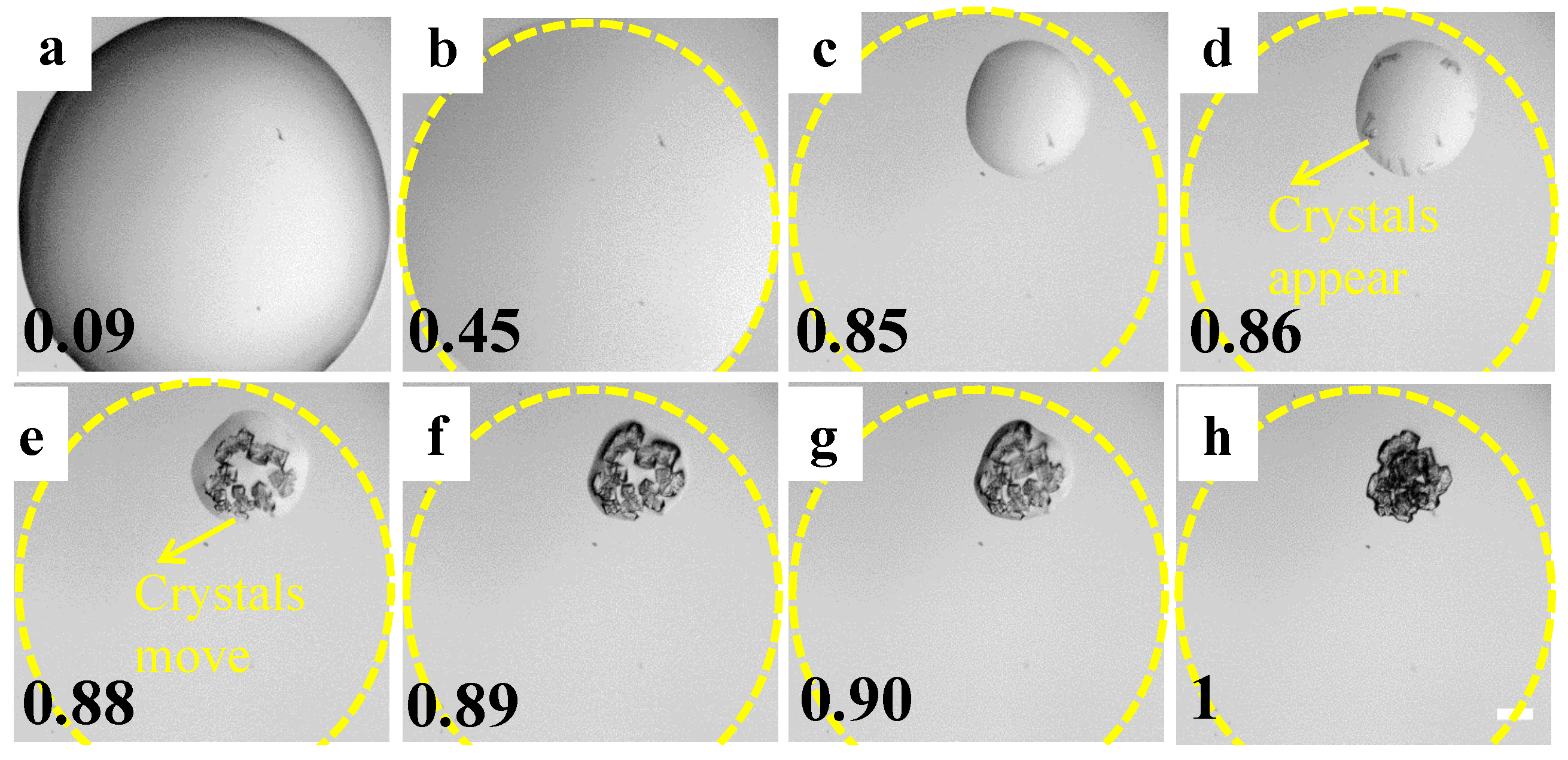 Processes 10 00955 g001