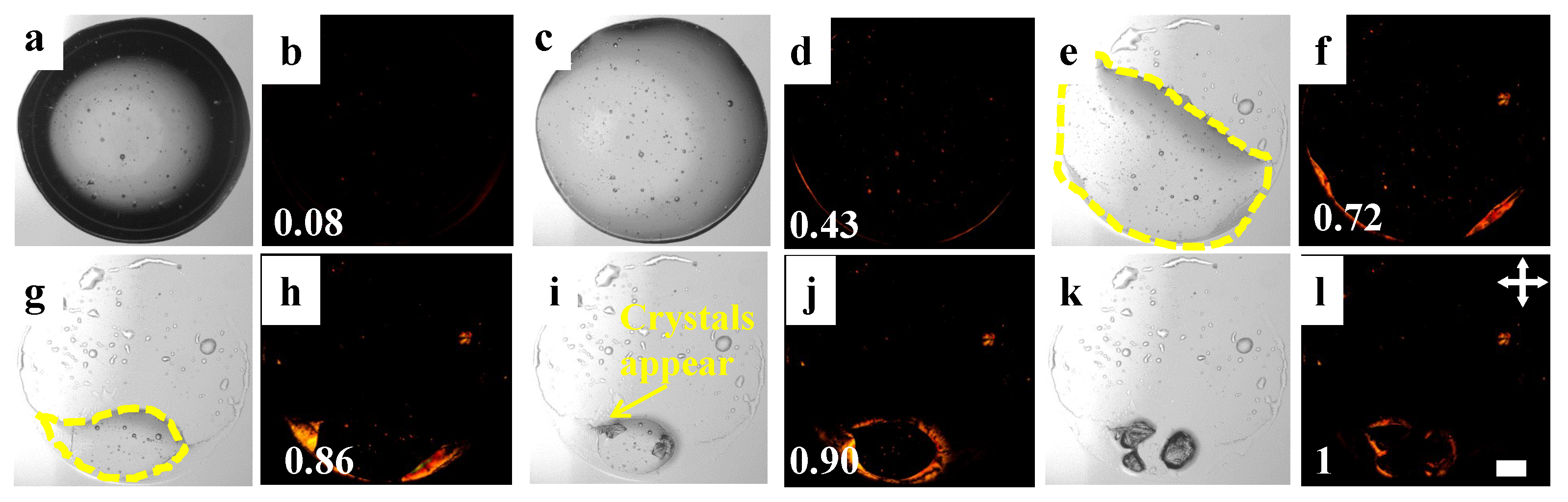 Processes 10 00955 g002