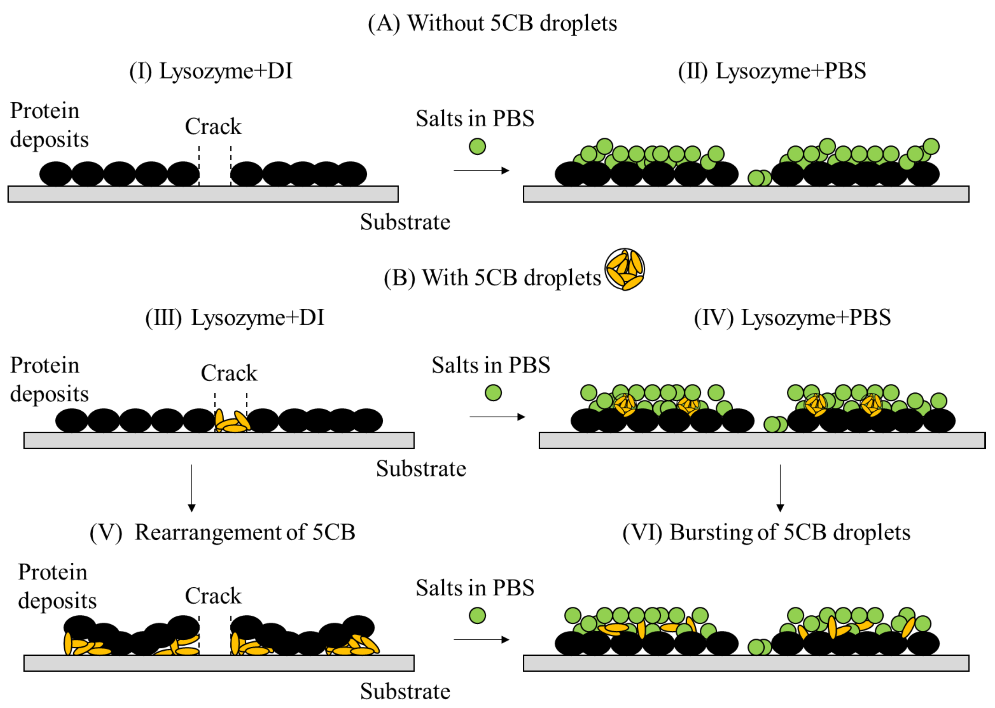 Processes 10 00955 g012