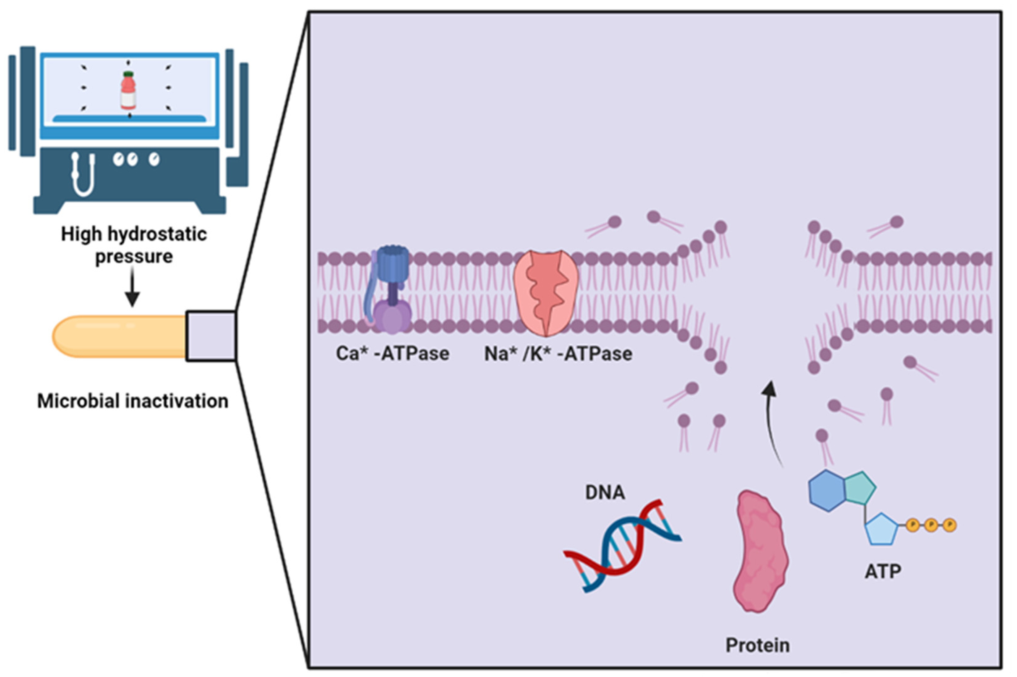 Processes 10 00995 g003 Processes 10 00995 g003
