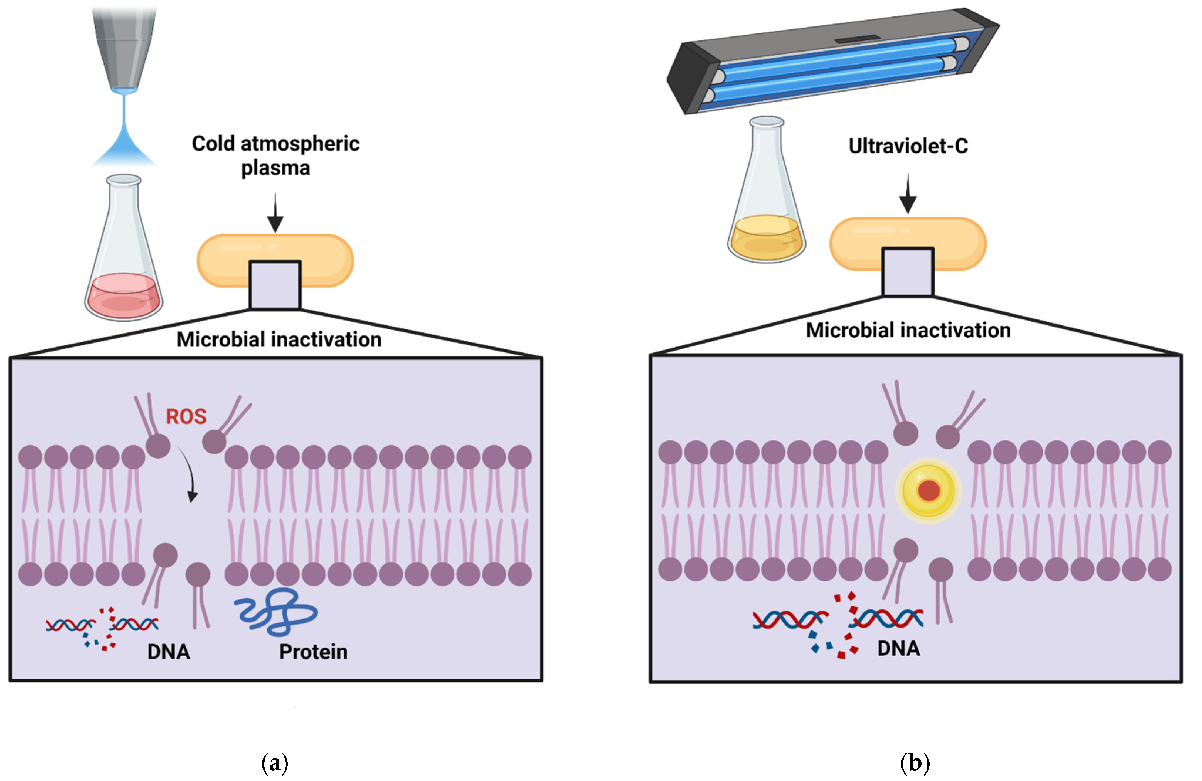 Processes 10 00995 g004 Processes 10 00995 g004