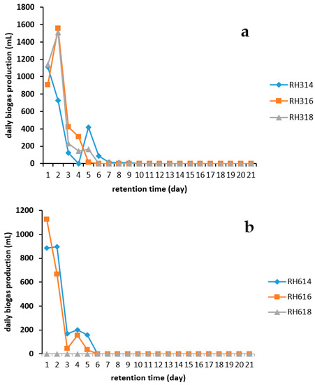 Biogas production through anaerobic co-digestion of rice husk and