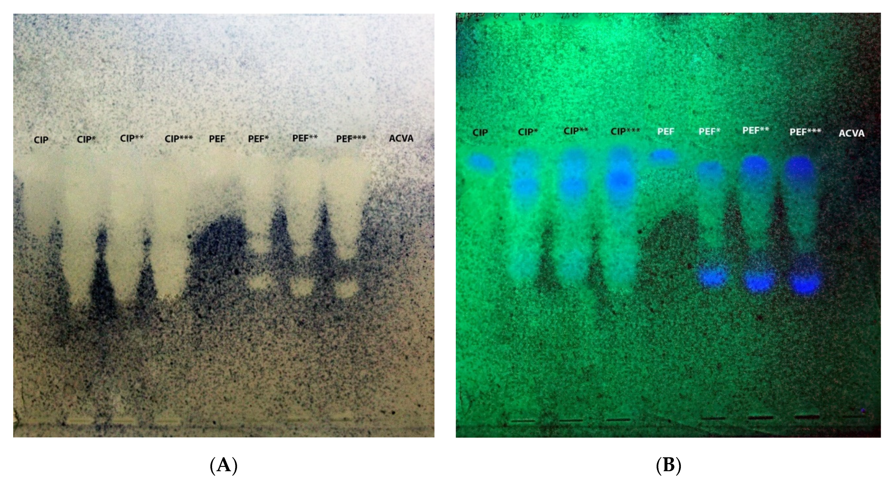 Processes 10 01022 g012