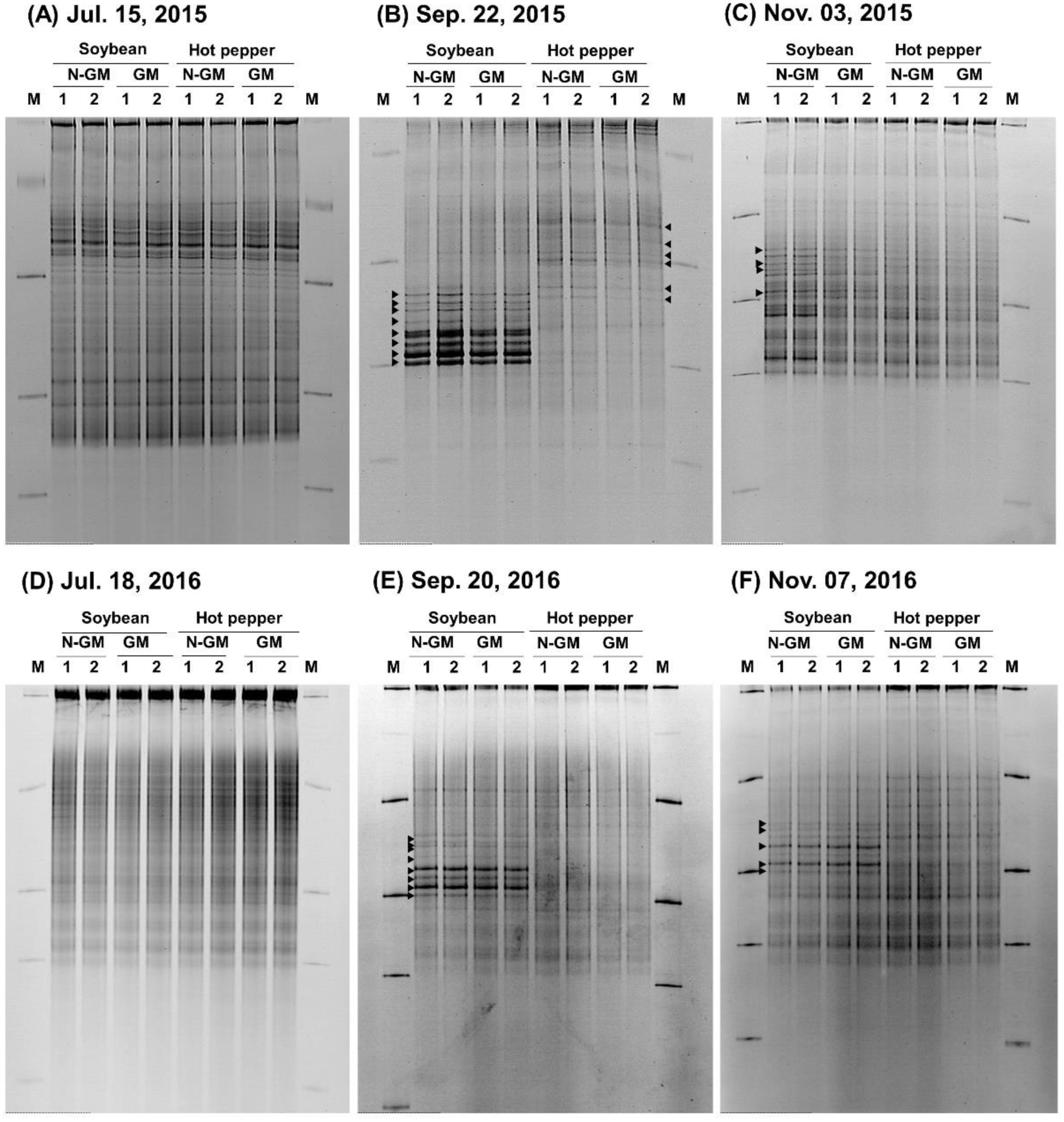 Processes 10 01037 g006