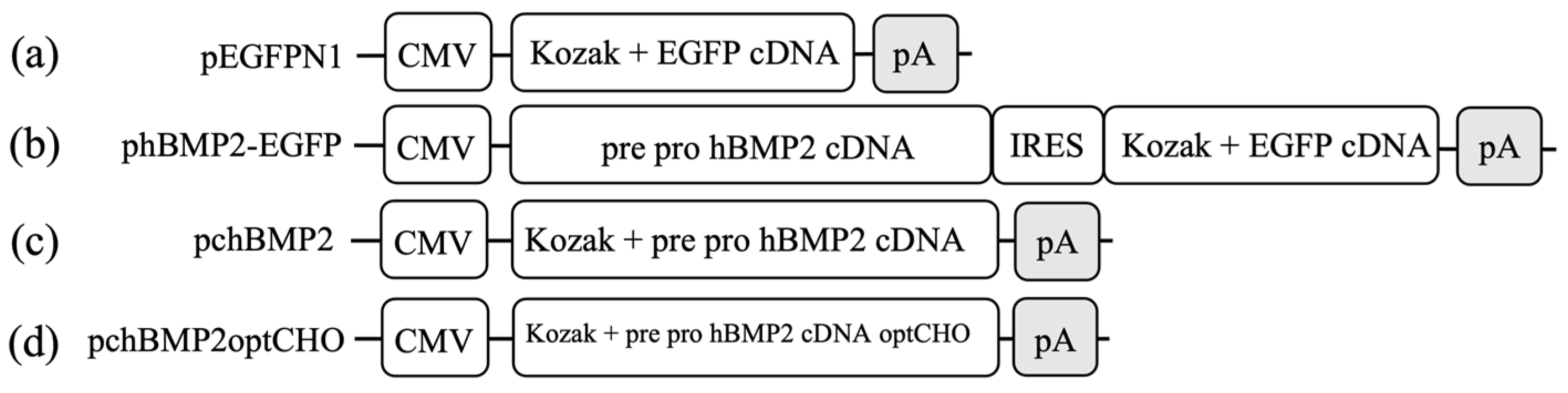 Processes 10 01064 g001 Processes 10 01064 g001