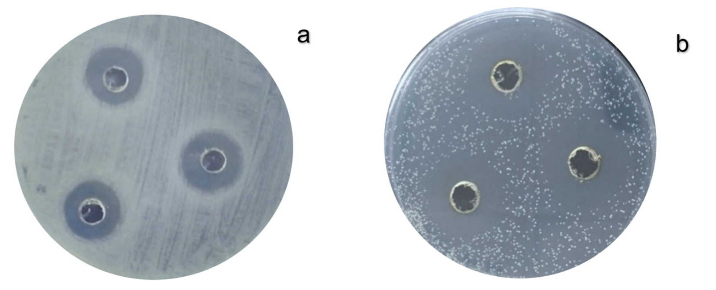 Processes 10 01088 g001