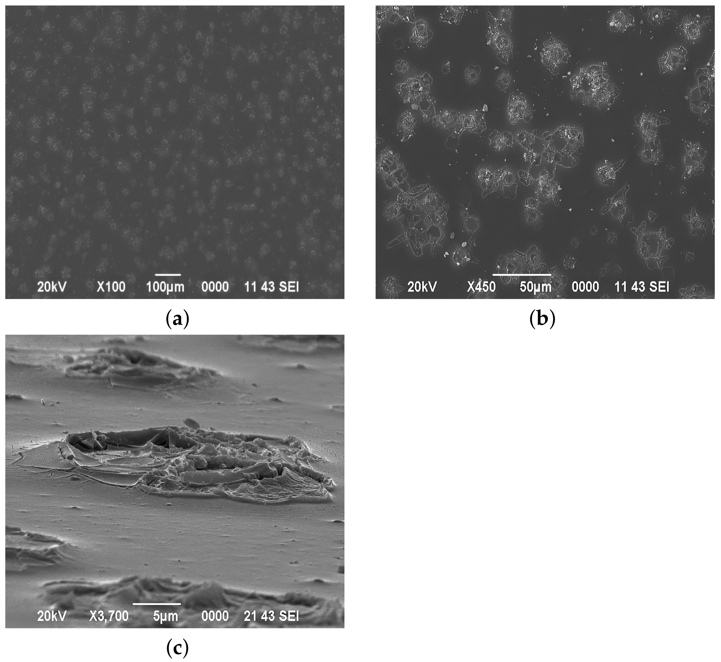 Processes 10 01116 g003