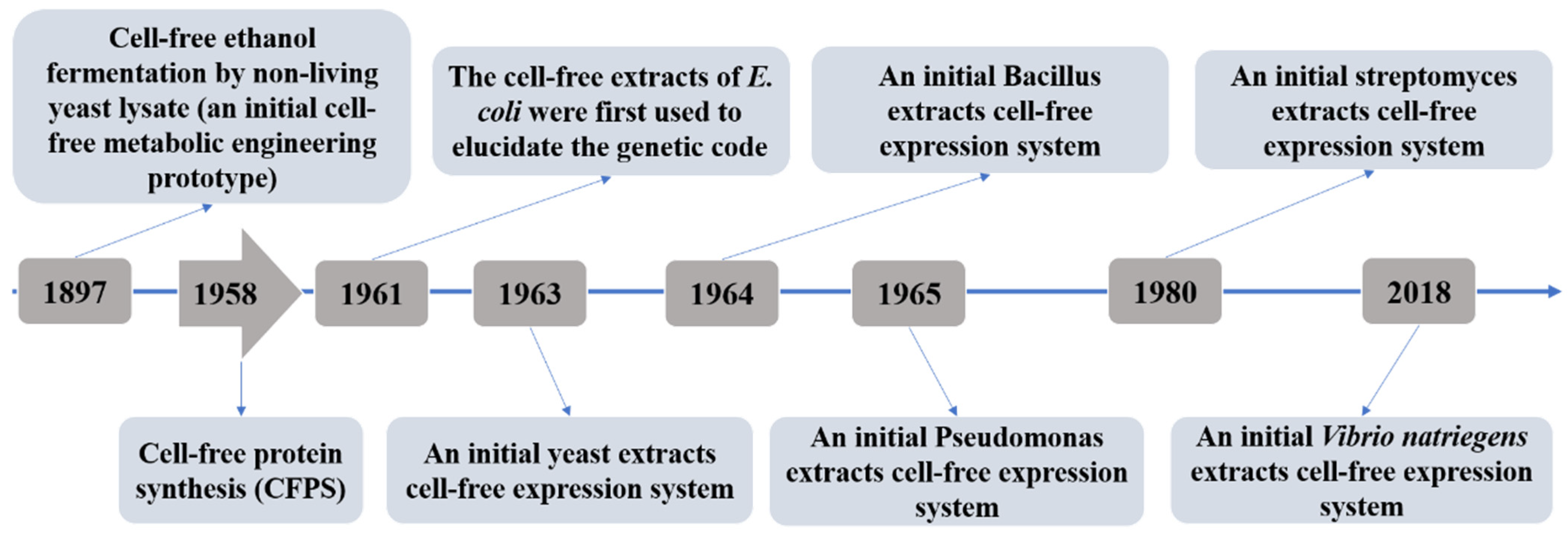Processes 10 01122 g002