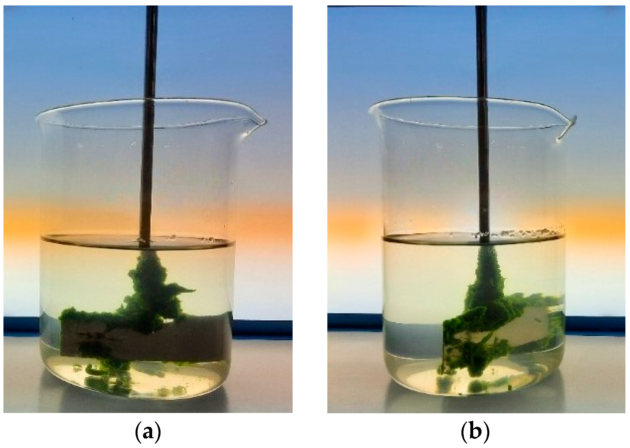 Processes 10 01124 g001