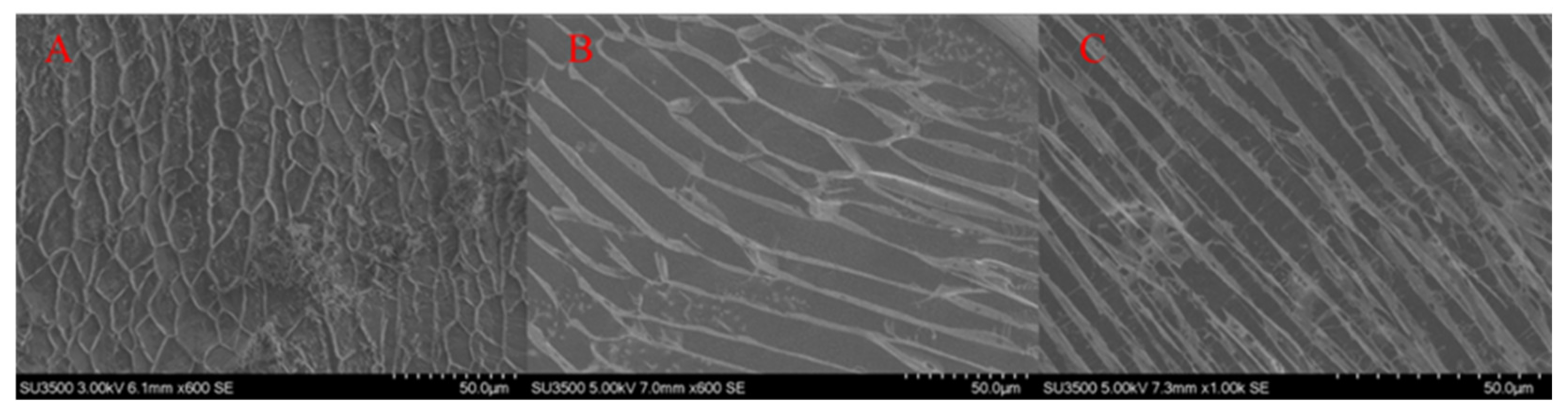 Processes 10 01165 g007