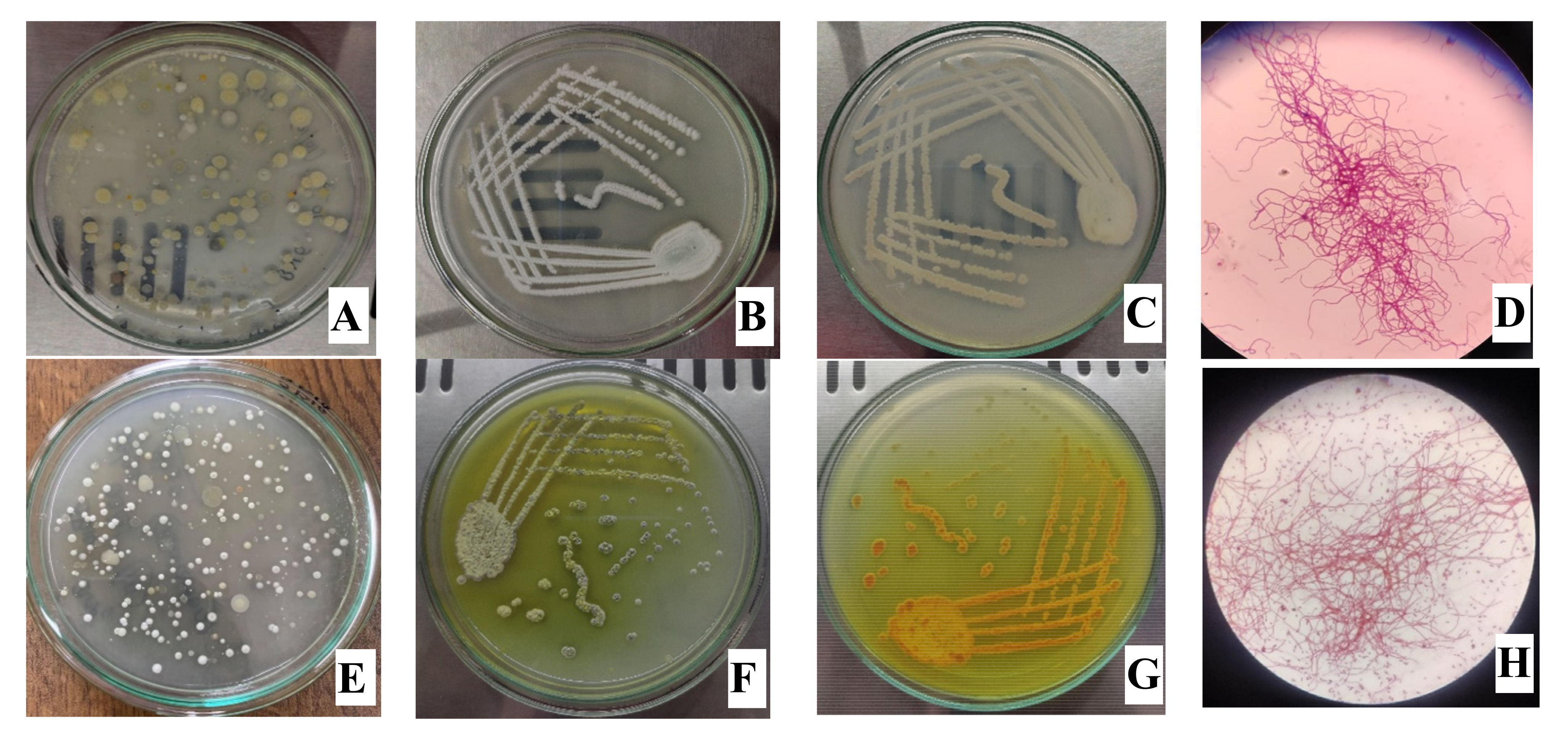 Processes 10 01173 g002 Processes 10 01173 g002