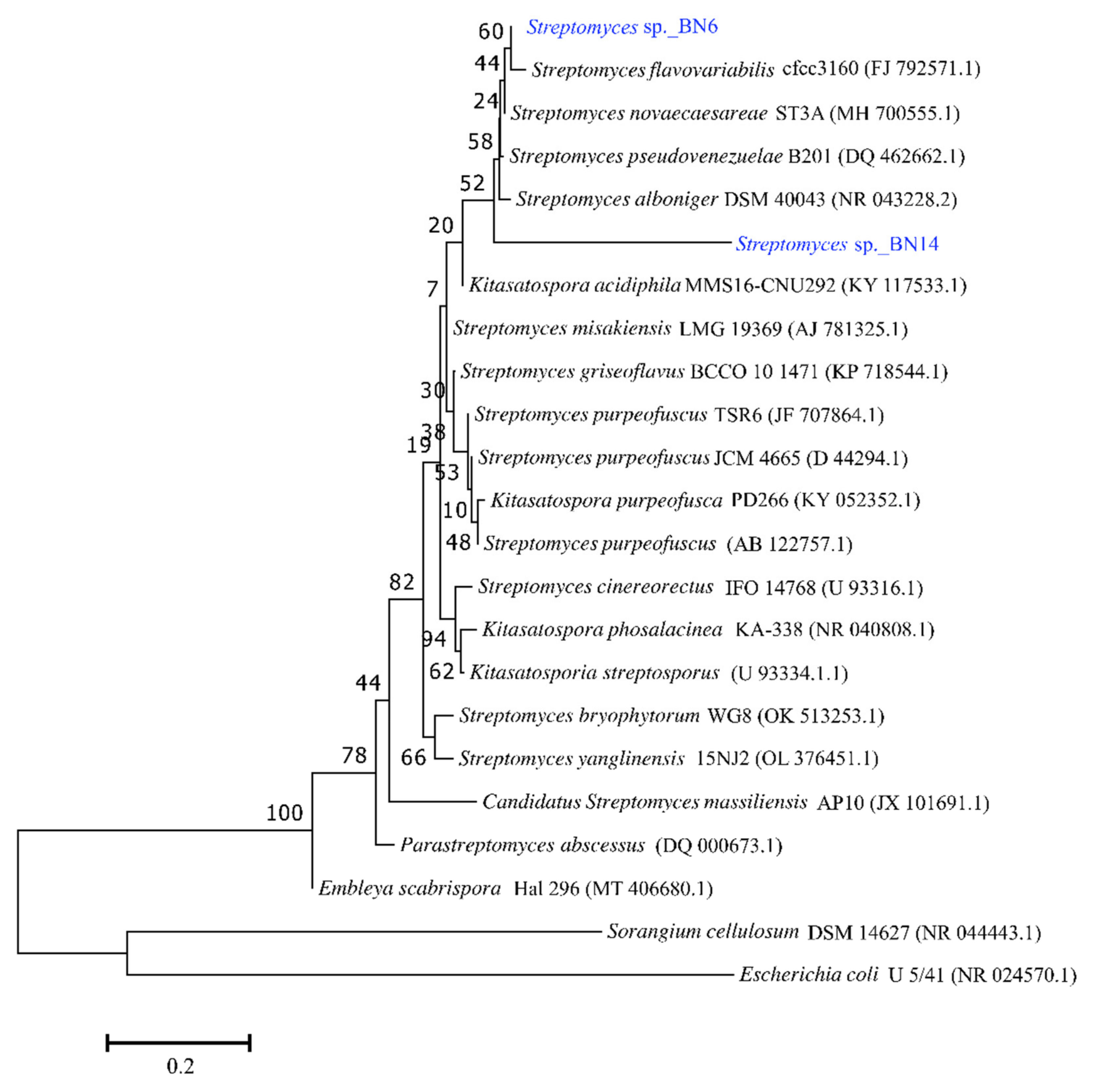 Processes 10 01173 g003 Processes 10 01173 g003